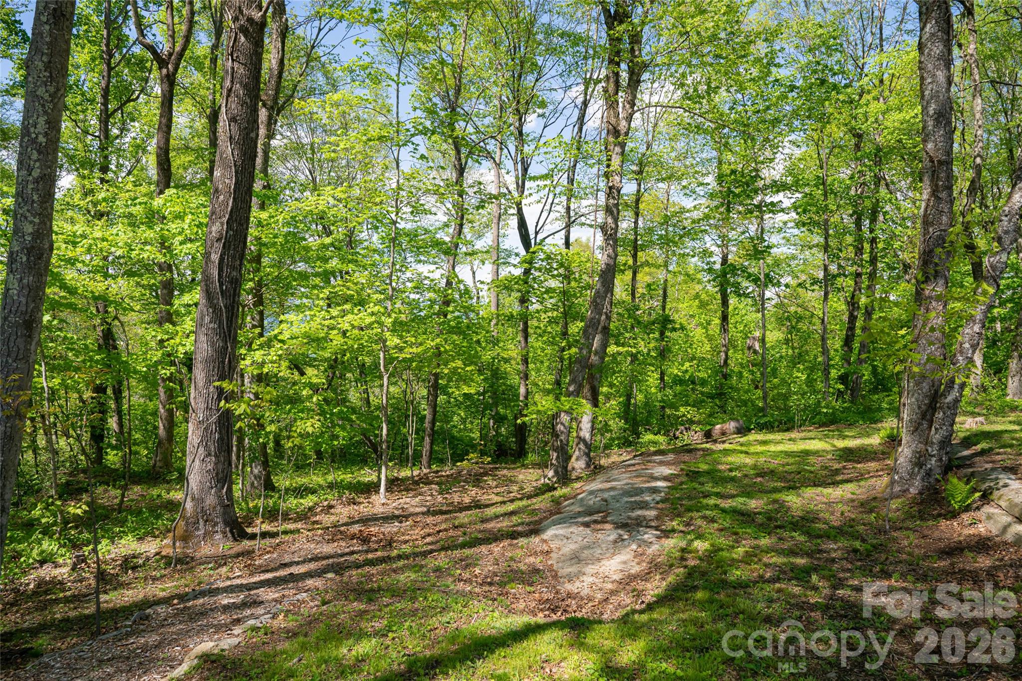 Lot at 000 Laurel Ledge Way, Fletcher, photo 8 of 23