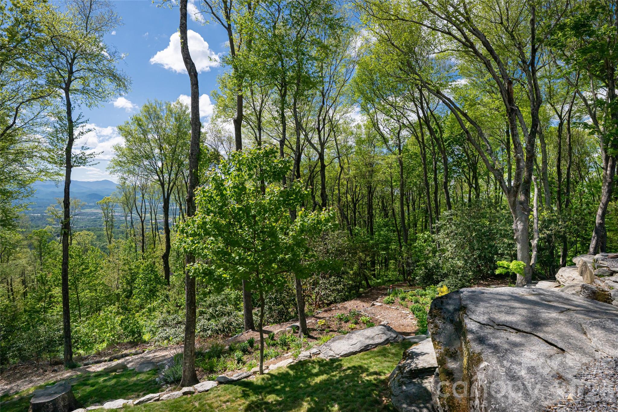 Lot at 000 Laurel Ledge Way, Fletcher, photo 6 of 23