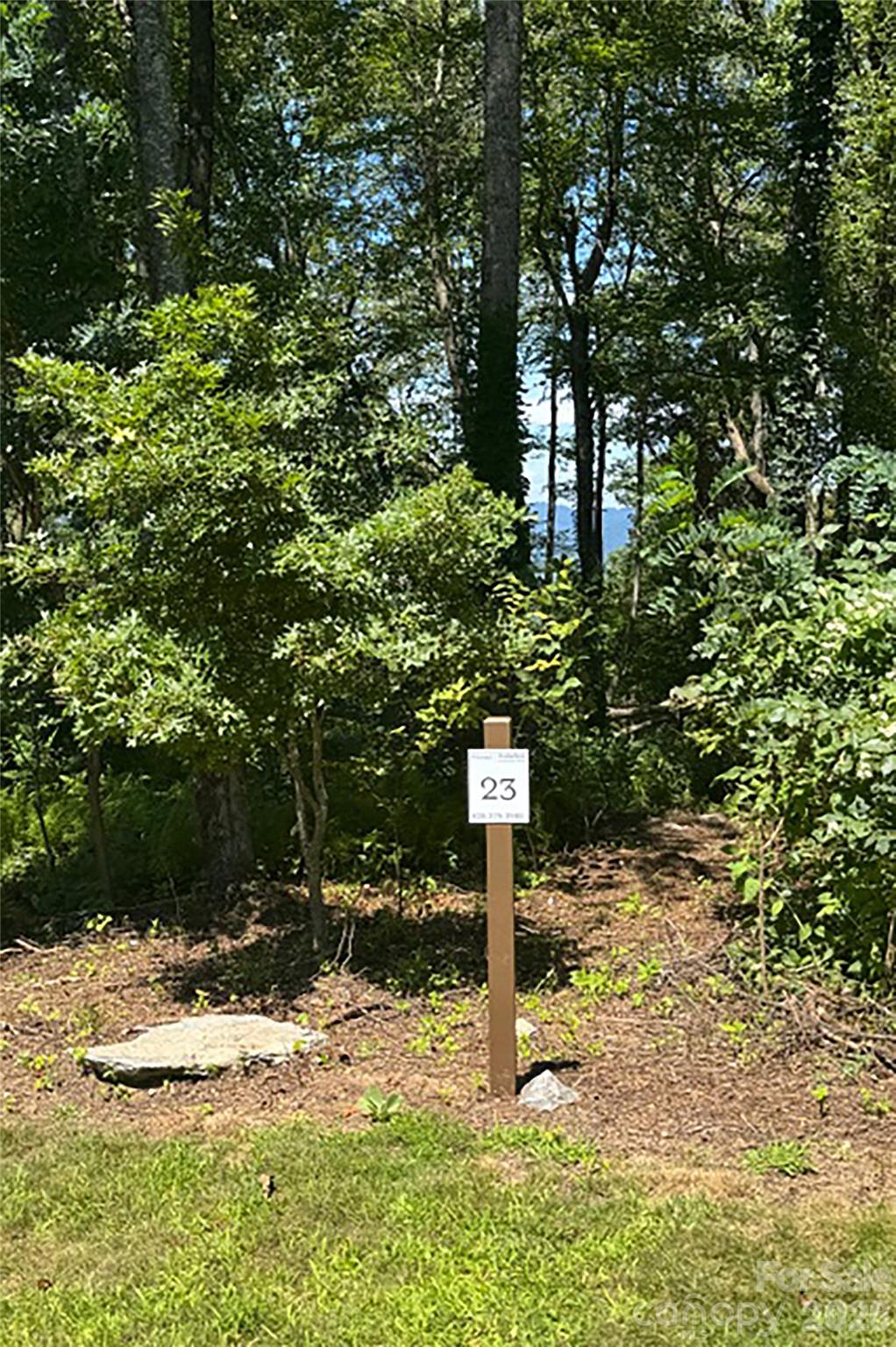 Lot at 000 Laurel Ledge Way, Fletcher, photo 12 of 23