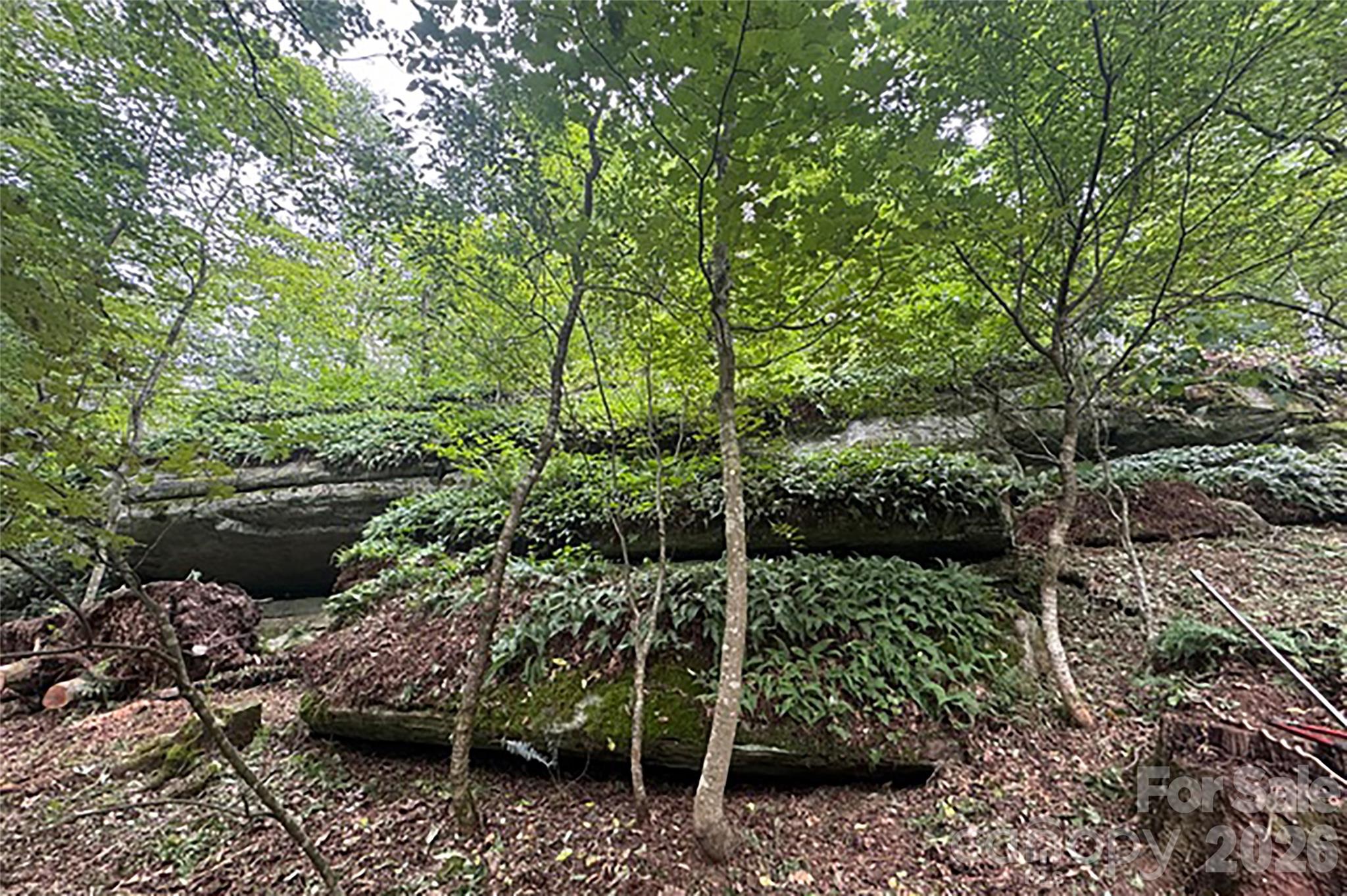Lot at 000 Laurel Ledge Way, Fletcher, photo 11 of 23