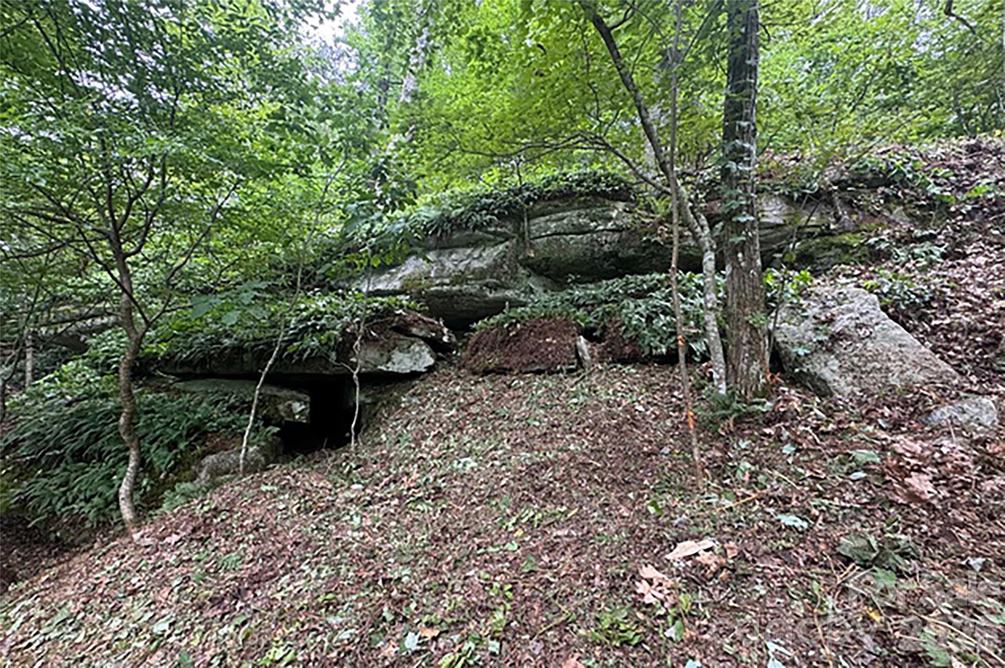 Lot at 000 Laurel Ledge Way, Fletcher, photo 17 of 23