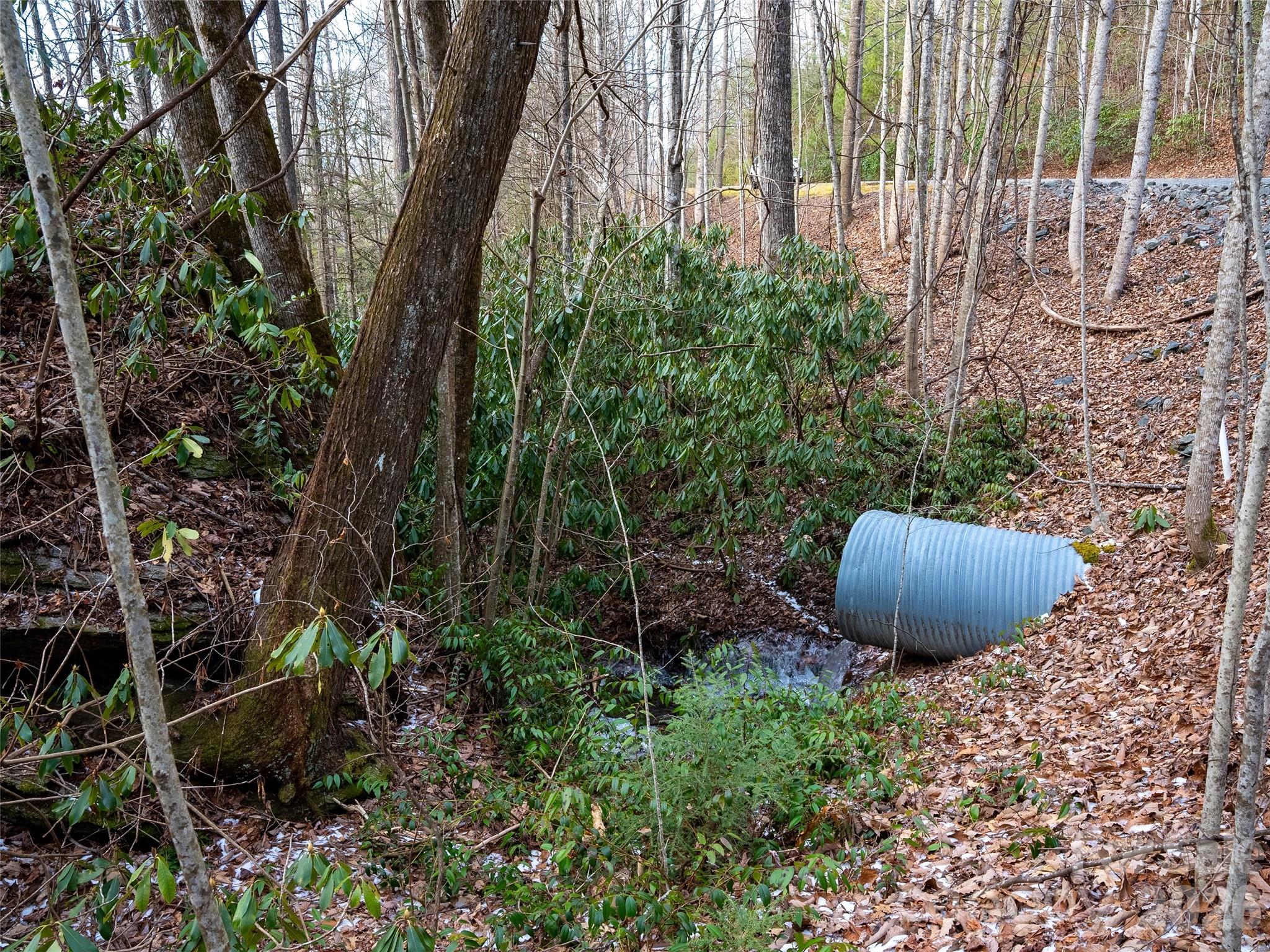 Lot at LT 617A Lost Mine Trail, Brevard, photo 6 of 12