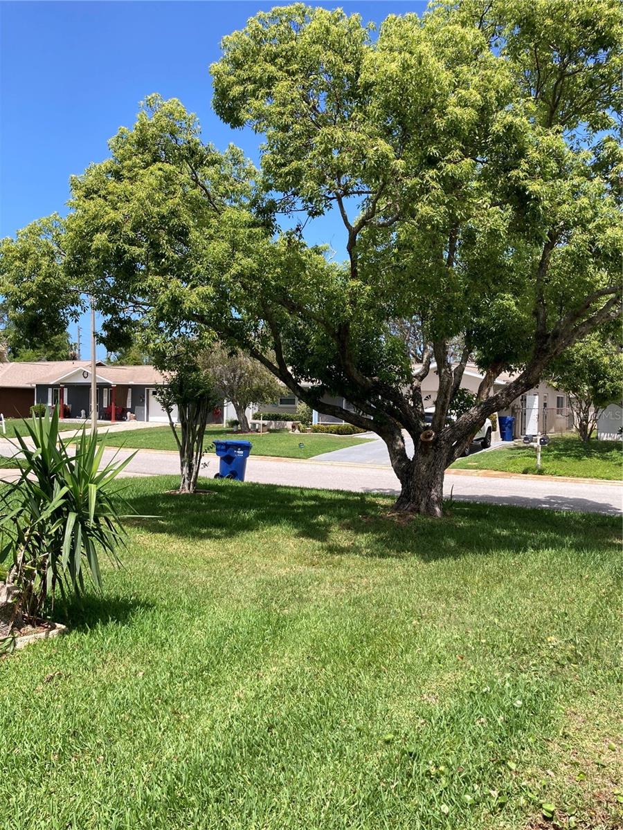 Single Family Residence at 7628 VALLEY CT, NEW PORT RICHEY, photo 11 of 34