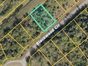BLACKWOOD CIR