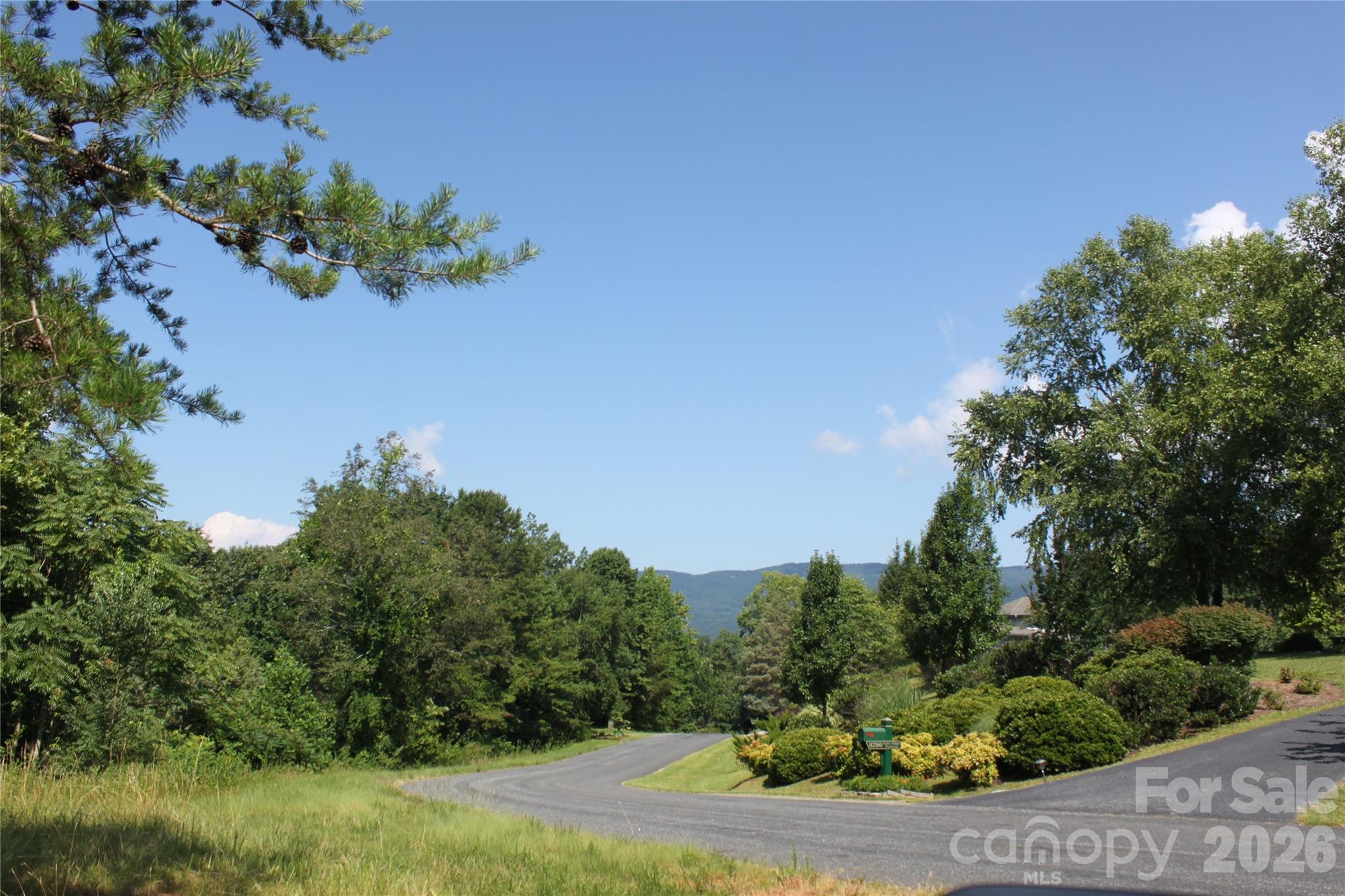 Acreage at Lot #28 Lake Adger Parkway, Mill Spring, photo 3 of 29