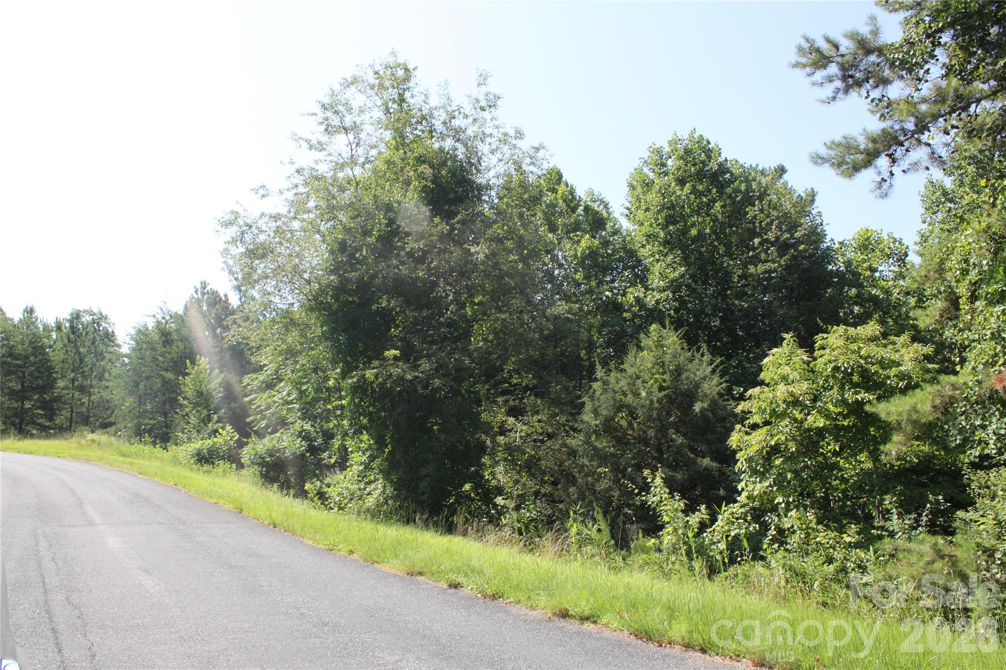 Acreage at Lot #28 Lake Adger Parkway, Mill Spring, photo 4 of 29