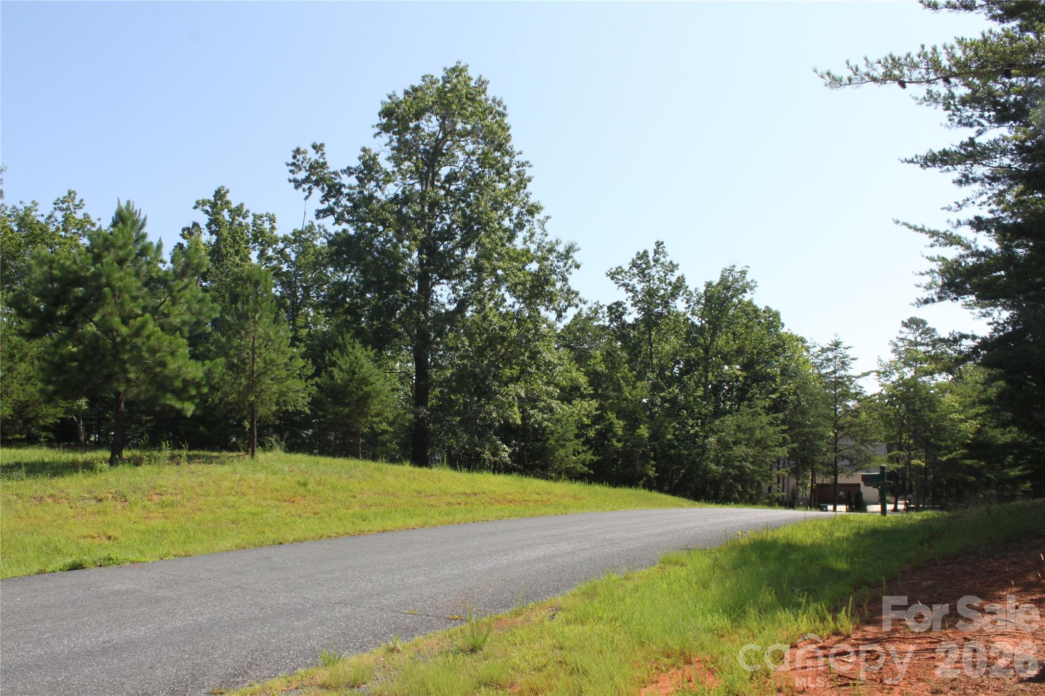 Acreage at Lot #28 Lake Adger Parkway, Mill Spring, photo 5 of 29