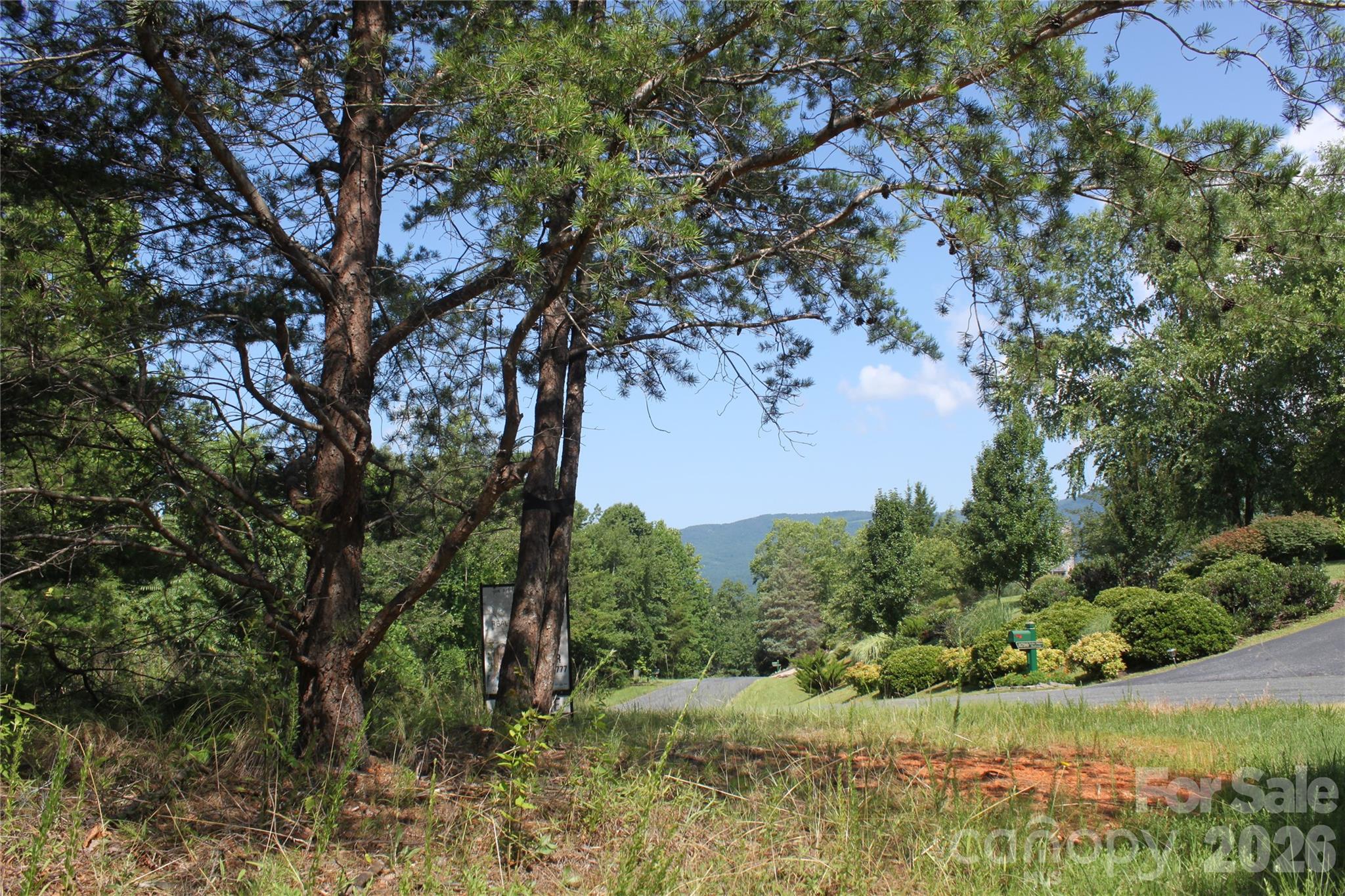 Acreage at Lot #28 Lake Adger Parkway, Mill Spring, photo 6 of 29