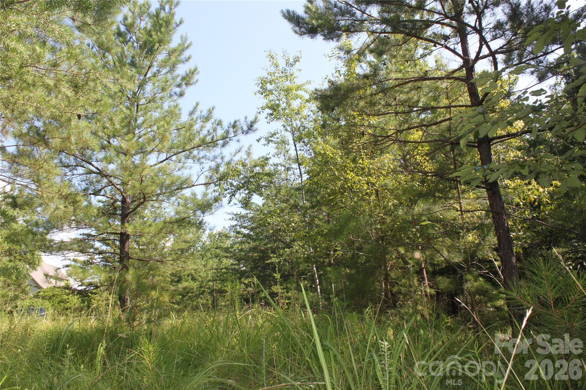 Acreage at Lot #28 Lake Adger Parkway, Mill Spring, photo 7 of 29