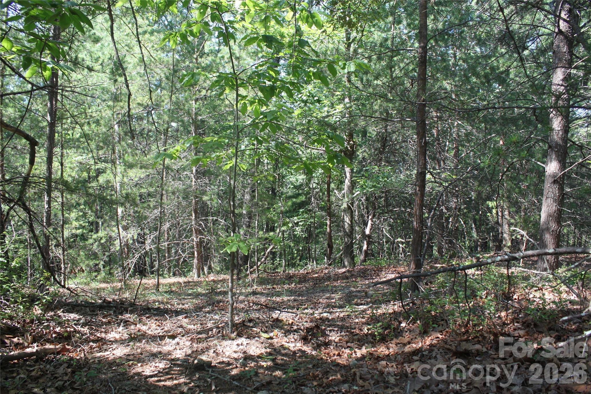 Acreage at Lot #28 Lake Adger Parkway, Mill Spring, photo 8 of 29
