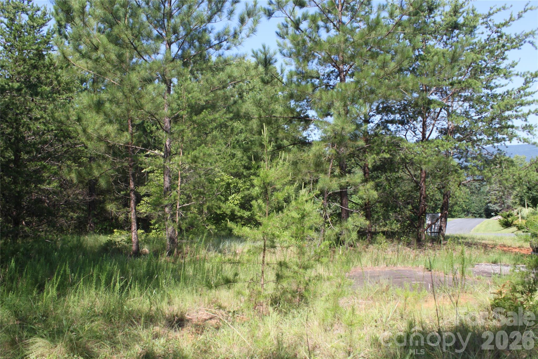 Acreage at Lot #28 Lake Adger Parkway, Mill Spring, photo 9 of 29
