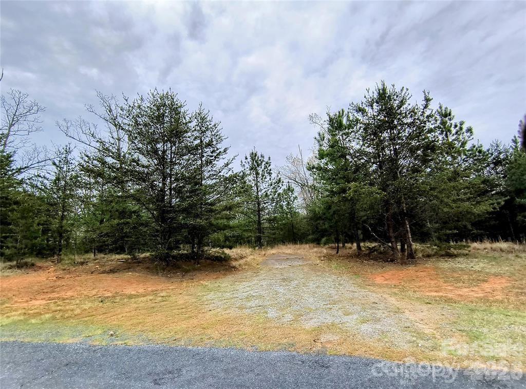 Acreage at Lot #28 Lake Adger Parkway, Mill Spring, photo 12 of 29