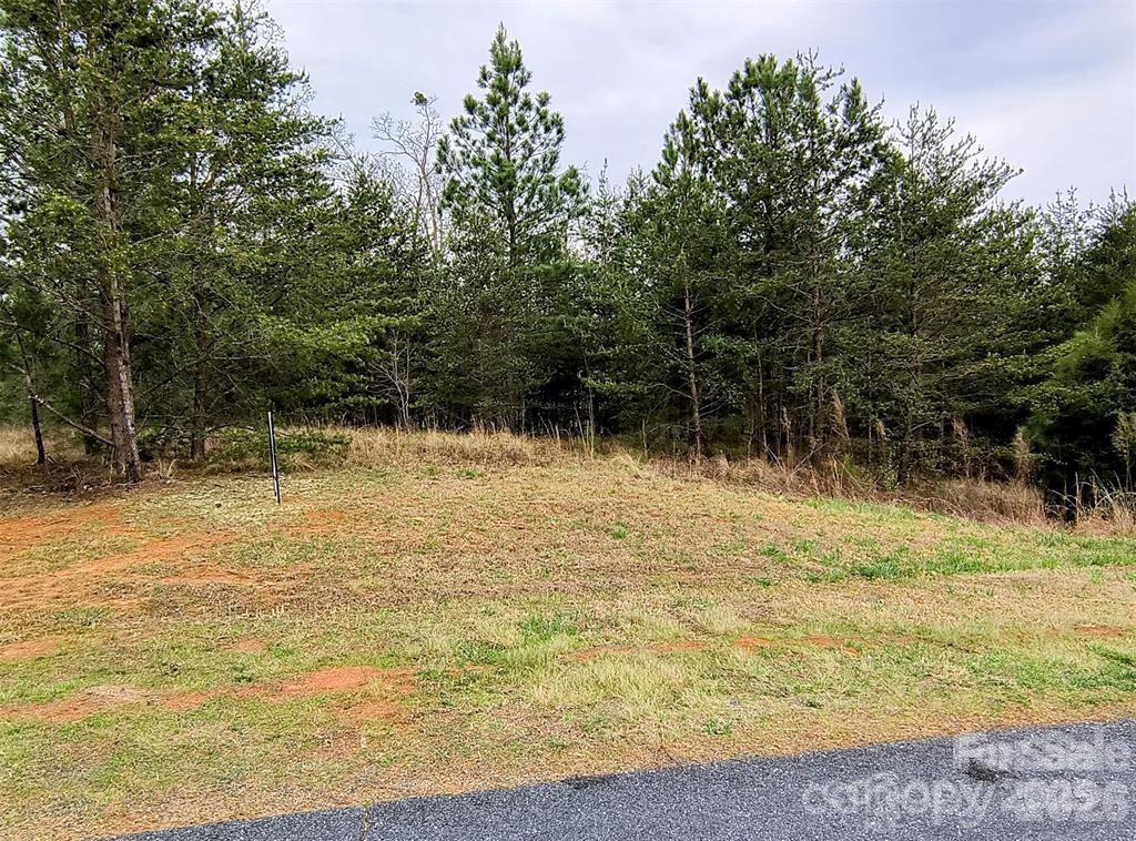 Acreage at Lot #28 Lake Adger Parkway, Mill Spring, photo 13 of 29