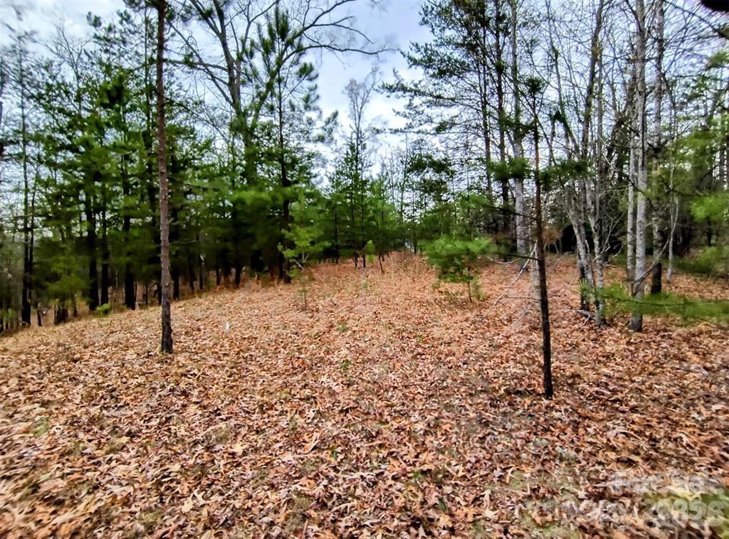 Acreage at Lot #28 Lake Adger Parkway, Mill Spring, photo 14 of 29