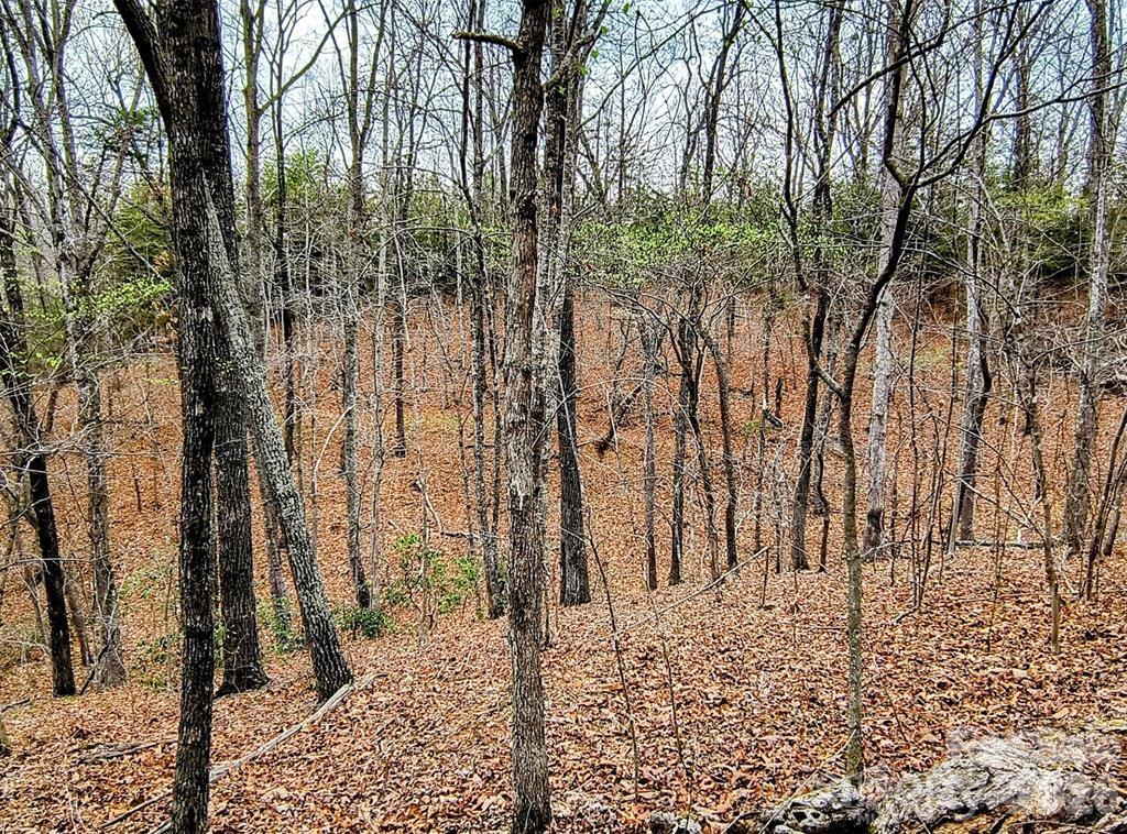 Acreage at Lot #28 Lake Adger Parkway, Mill Spring, photo 15 of 29