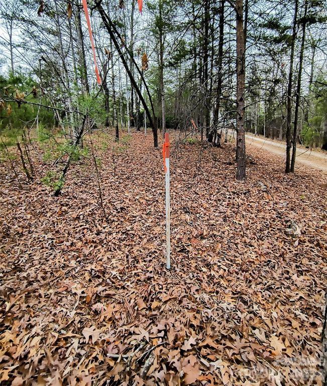 Acreage at Lot #28 Lake Adger Parkway, Mill Spring, photo 16 of 29