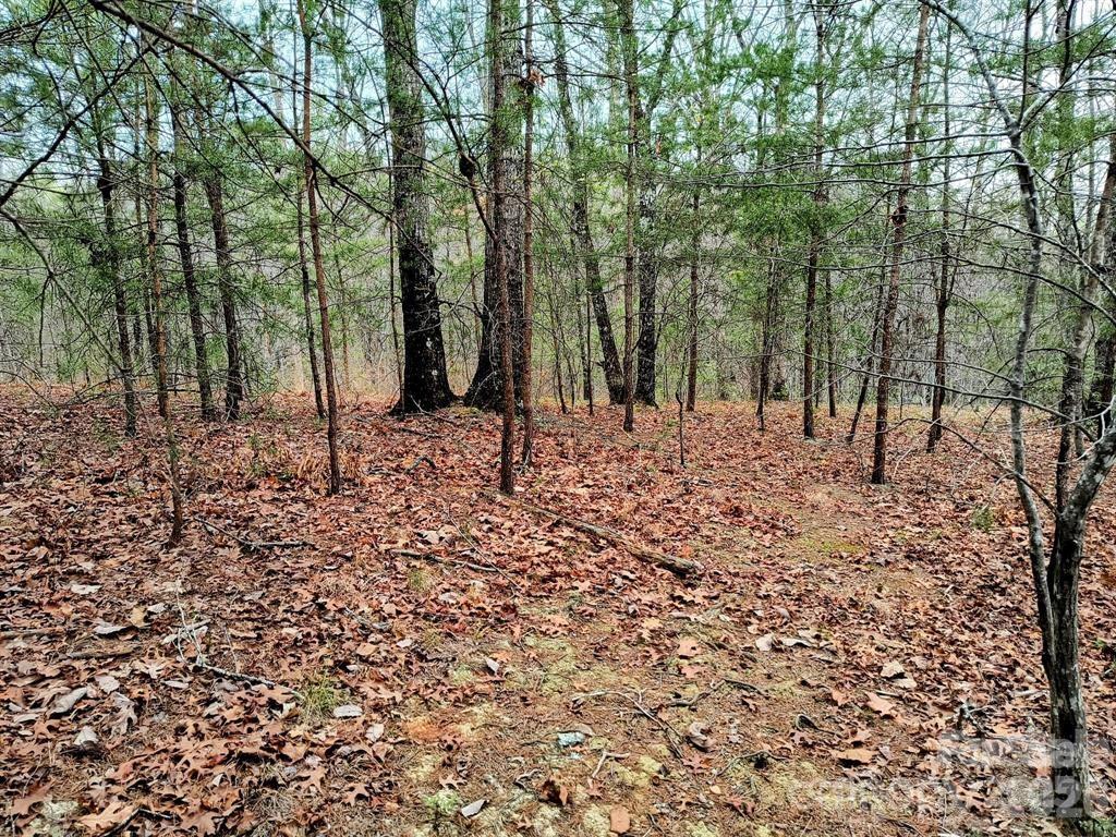 Acreage at Lot #28 Lake Adger Parkway, Mill Spring, photo 17 of 29