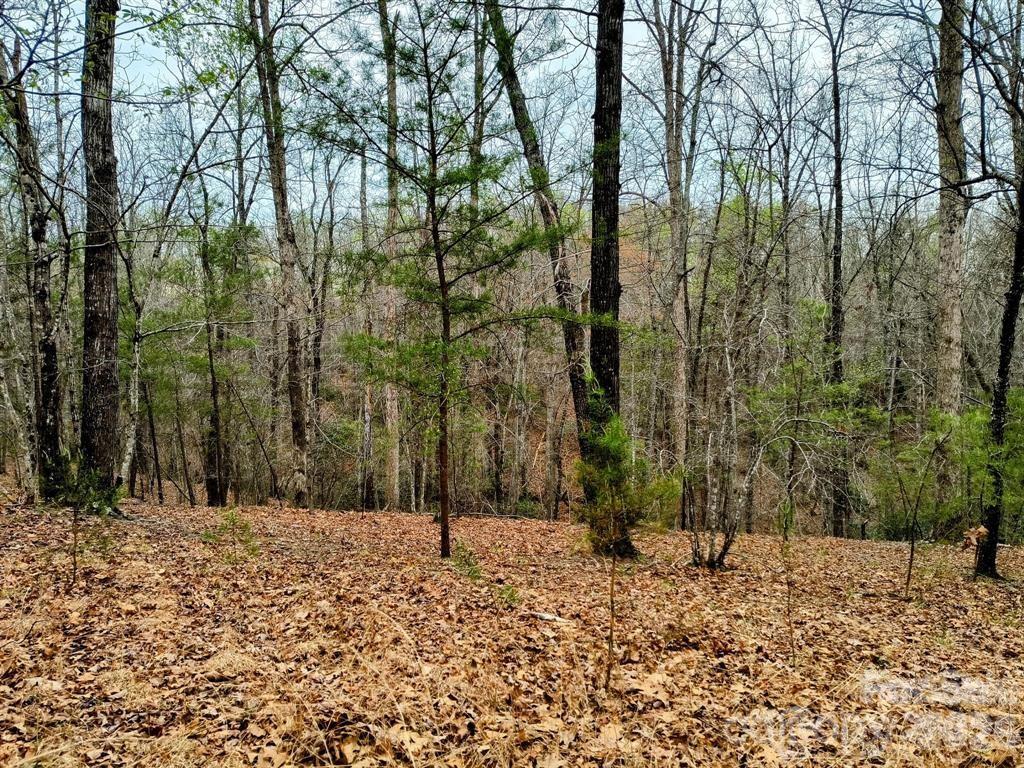 Acreage at Lot #28 Lake Adger Parkway, Mill Spring, photo 18 of 29