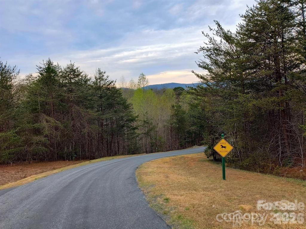 Acreage at Lot #28 Lake Adger Parkway, Mill Spring, photo 19 of 29