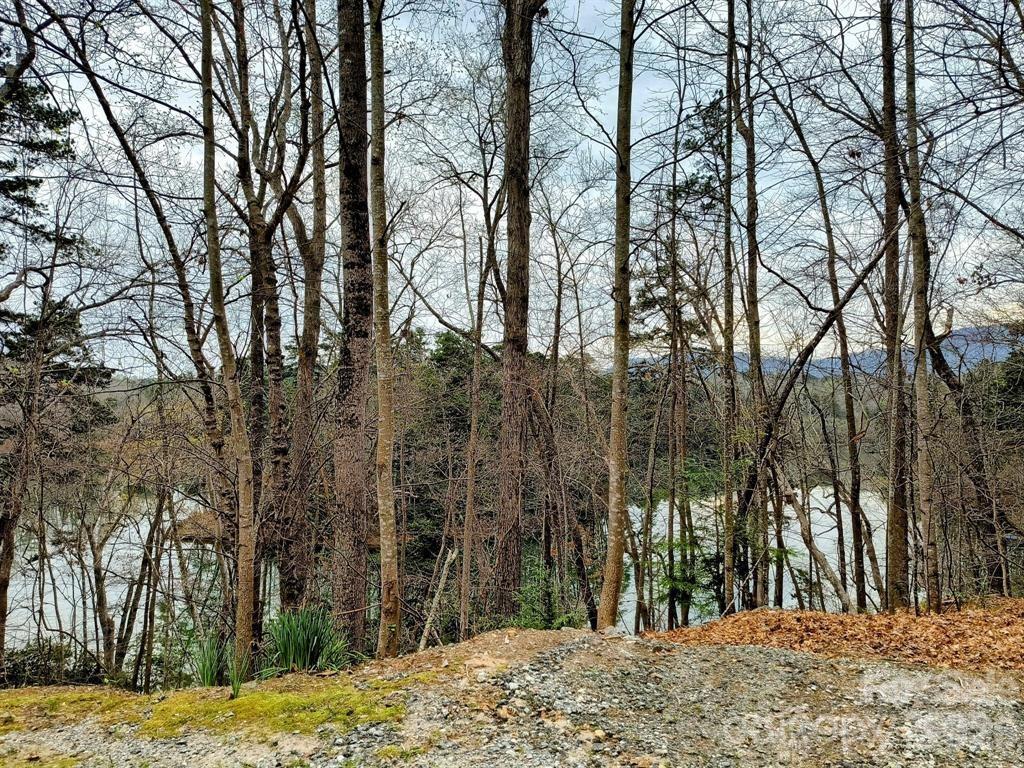 Acreage at Lot #28 Lake Adger Parkway, Mill Spring, photo 20 of 29