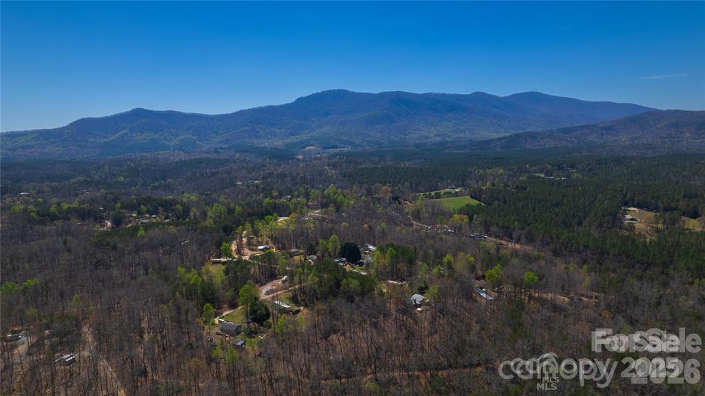 Acreage at Lot #28 Lake Adger Parkway, Mill Spring, photo 22 of 29