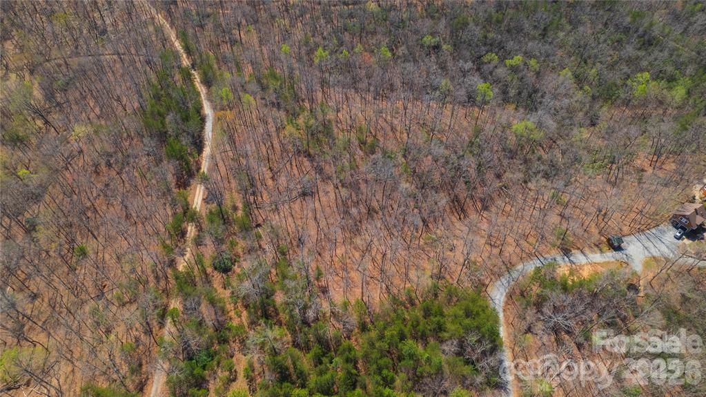 Acreage at Lot #28 Lake Adger Parkway, Mill Spring, photo 29 of 29
