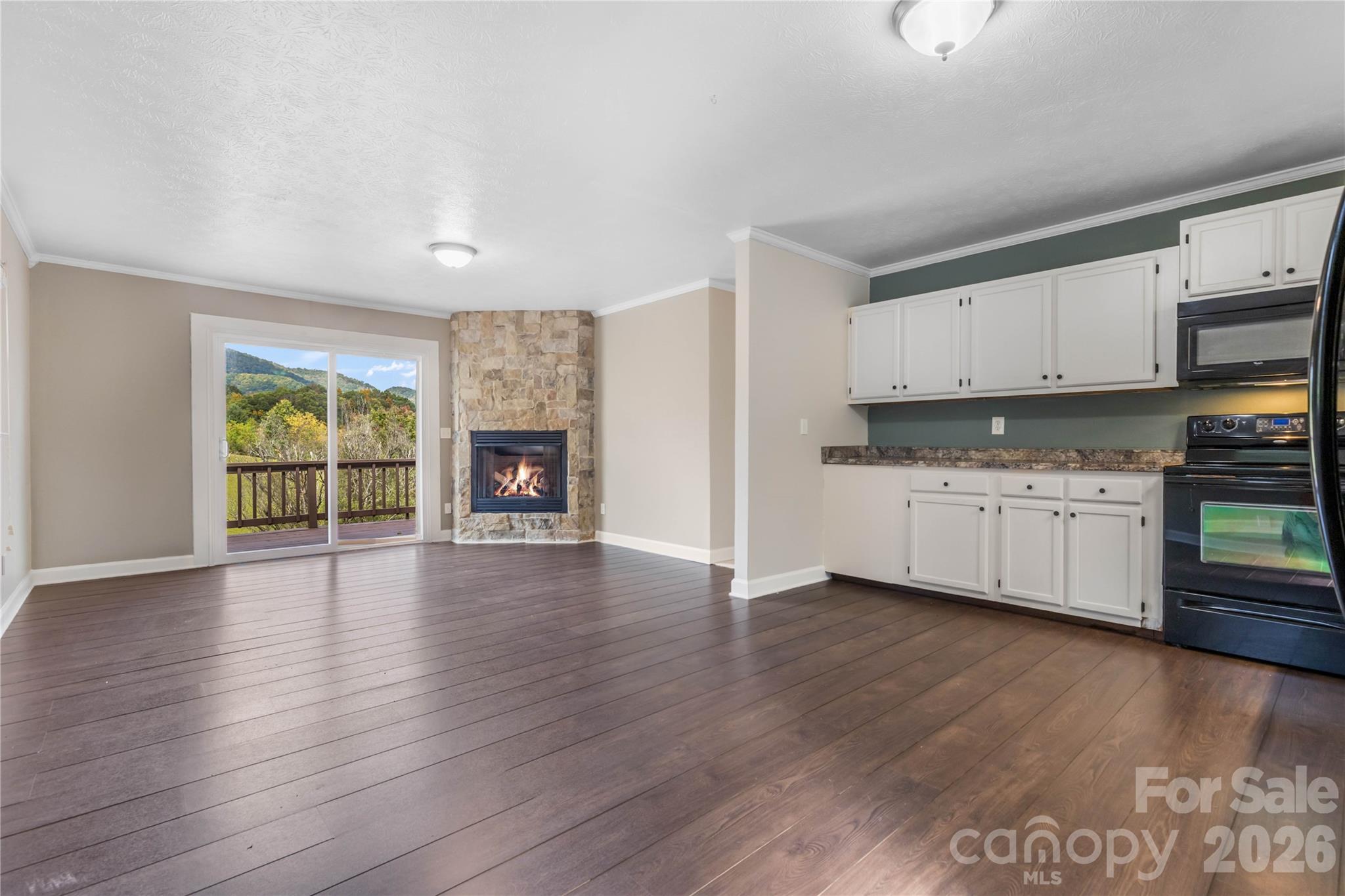 Single Family Residence at 205 L And E Meadows Drive, Waynesville, photo 2 of 42