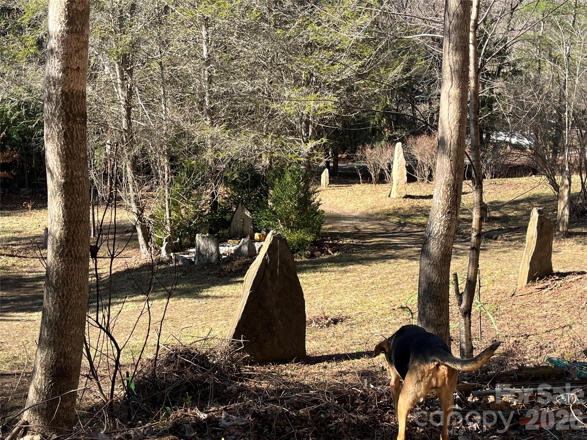 Acreage at 276 Cedar Creek Road, Black Mountain, photo 5 of 27