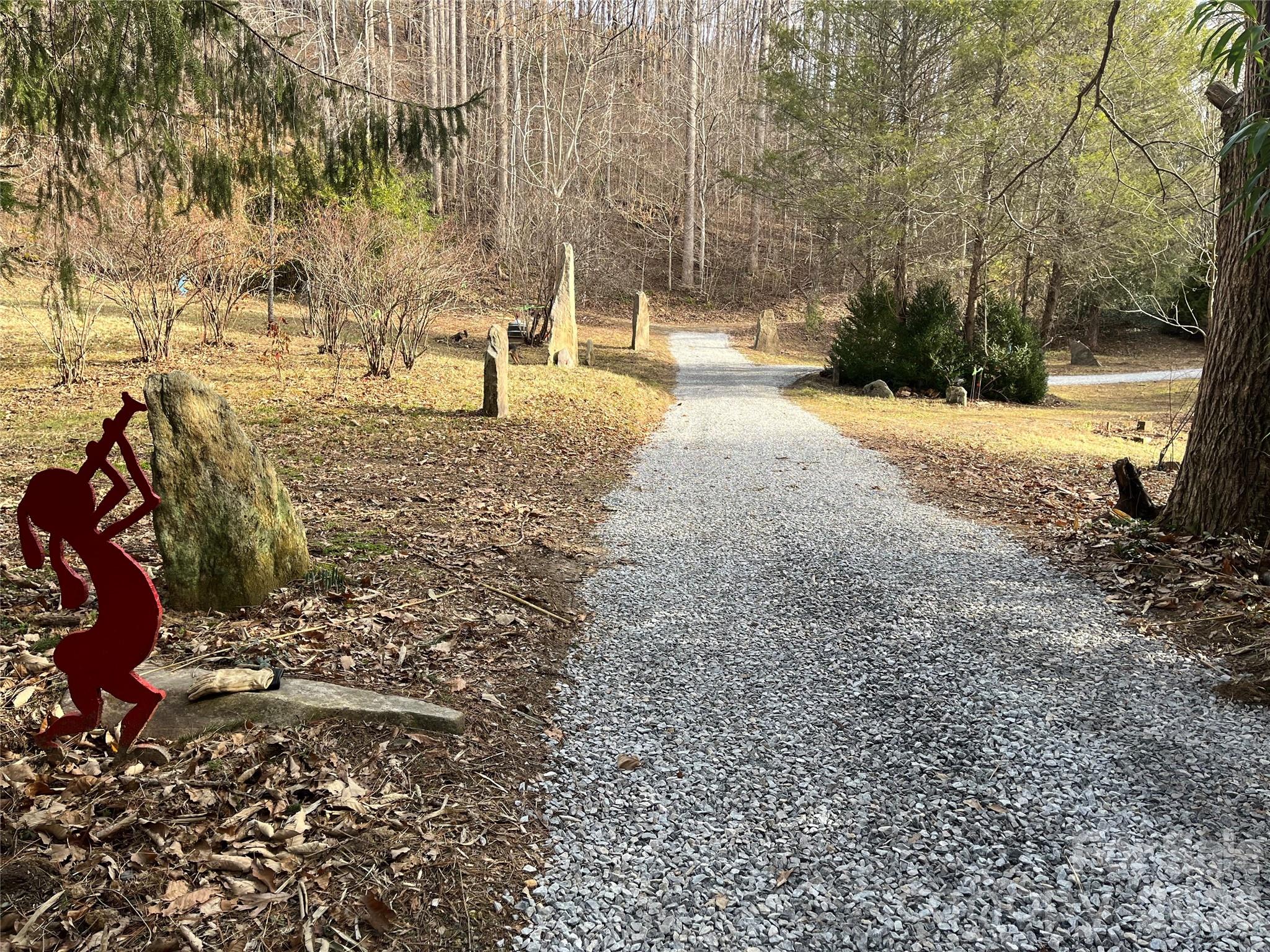 Acreage at 276 Cedar Creek Road, Black Mountain, photo 6 of 27