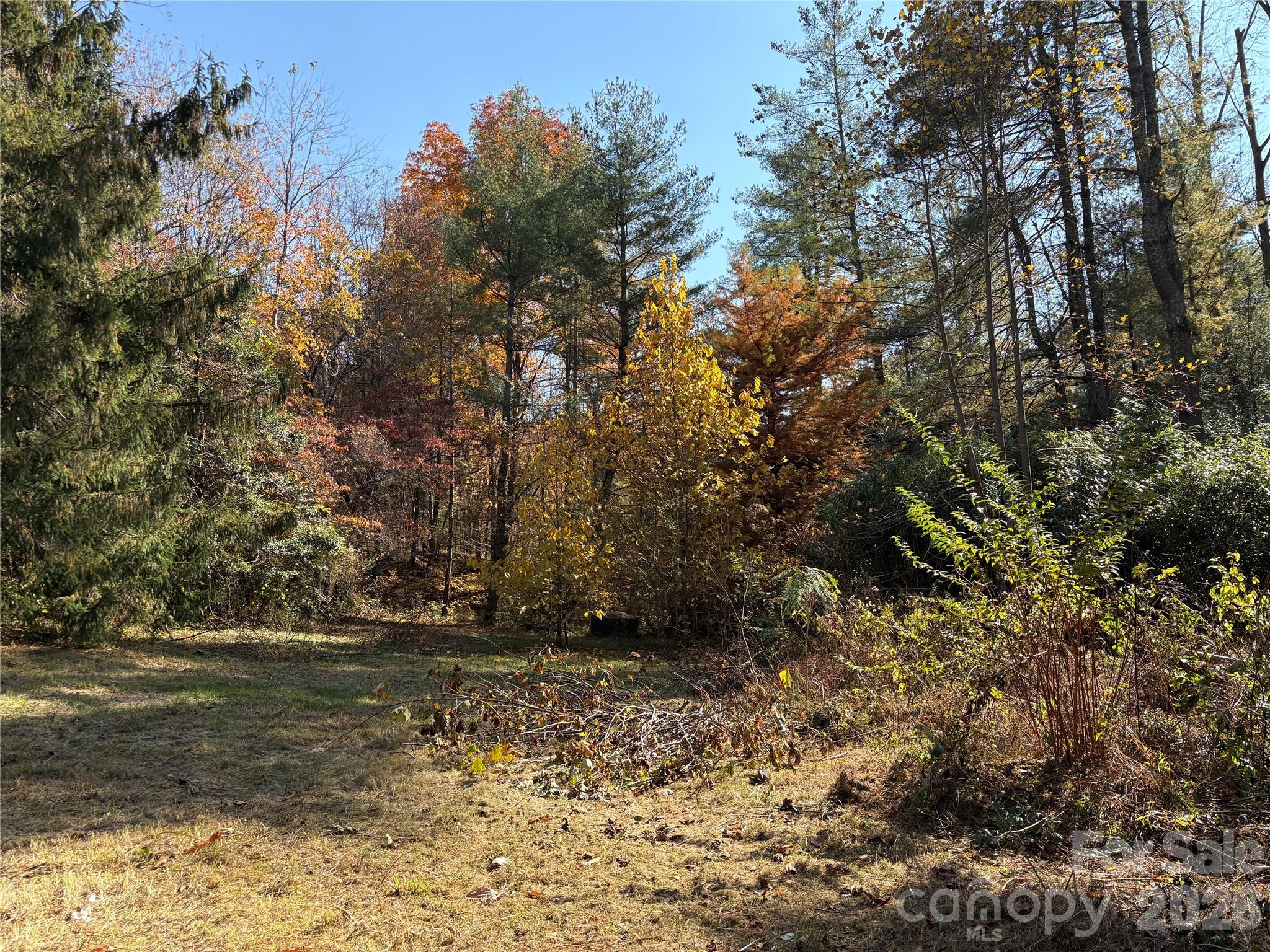 Acreage at 276 Cedar Creek Road, Black Mountain, photo 8 of 27