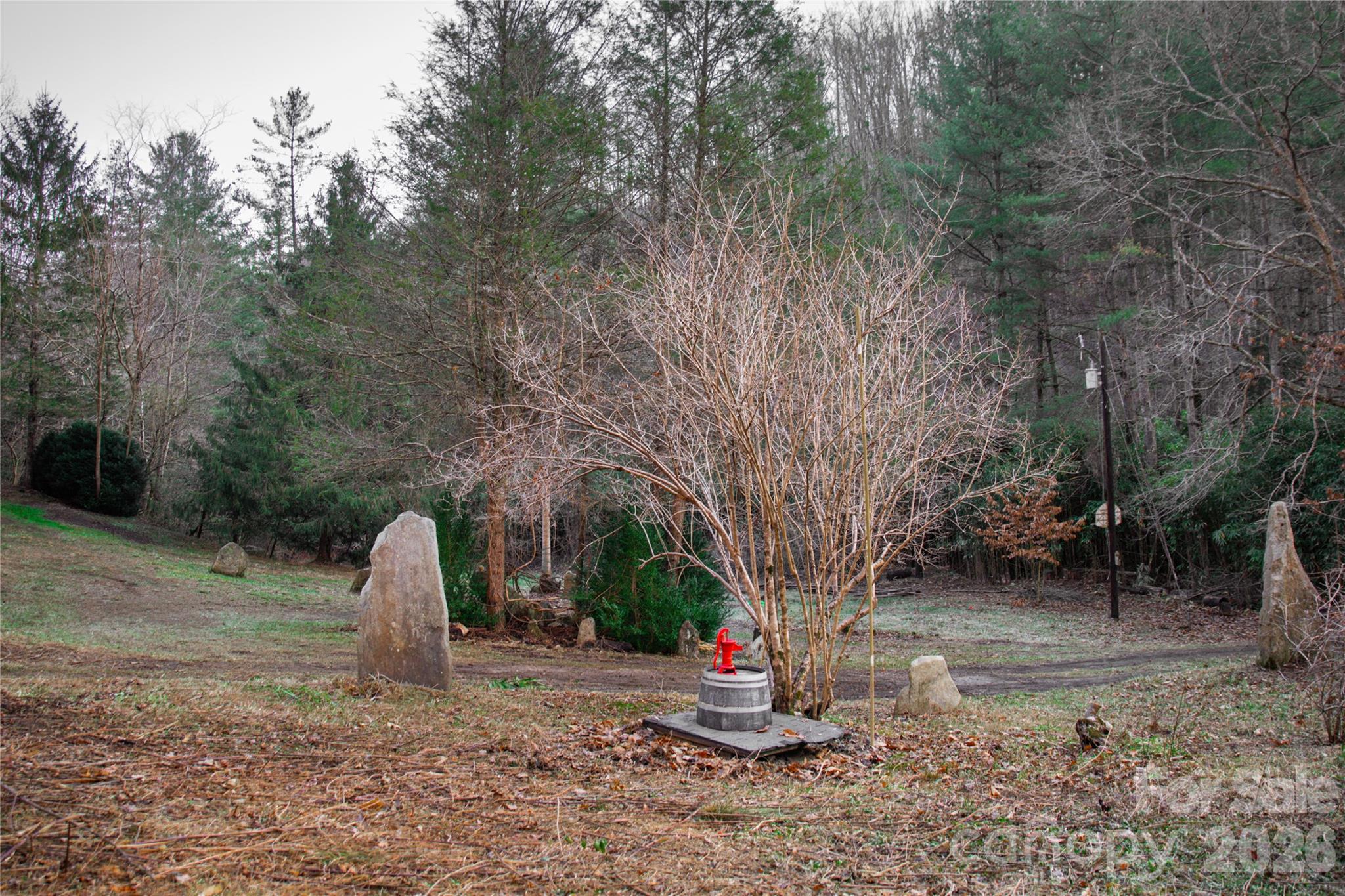 Acreage at 276 Cedar Creek Road, Black Mountain, photo 10 of 27