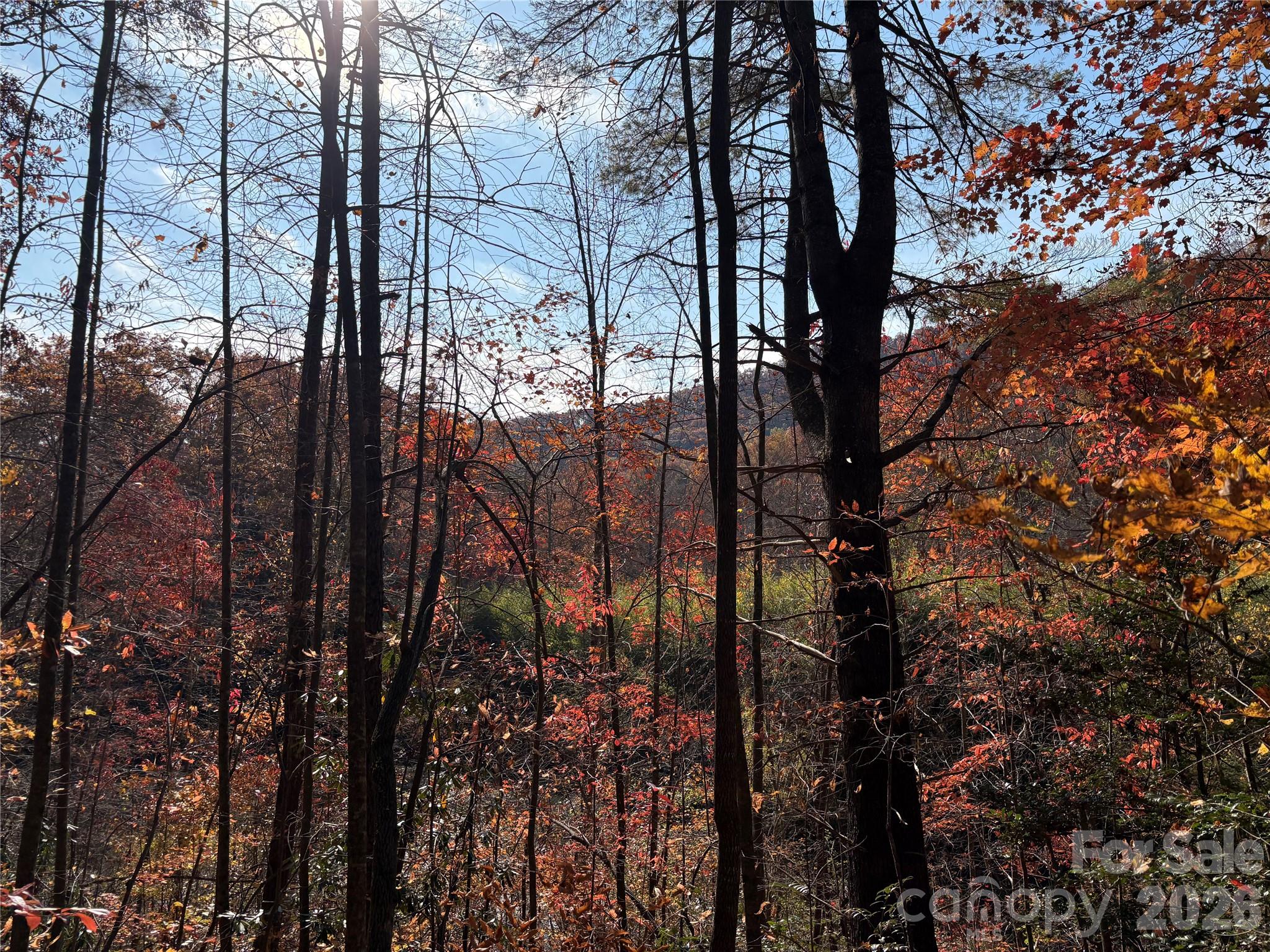 Acreage at 276 Cedar Creek Road, Black Mountain, photo 11 of 27