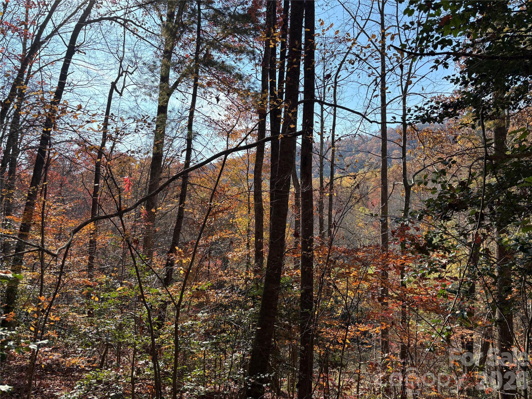 Acreage at 276 Cedar Creek Road, Black Mountain, photo 16 of 27