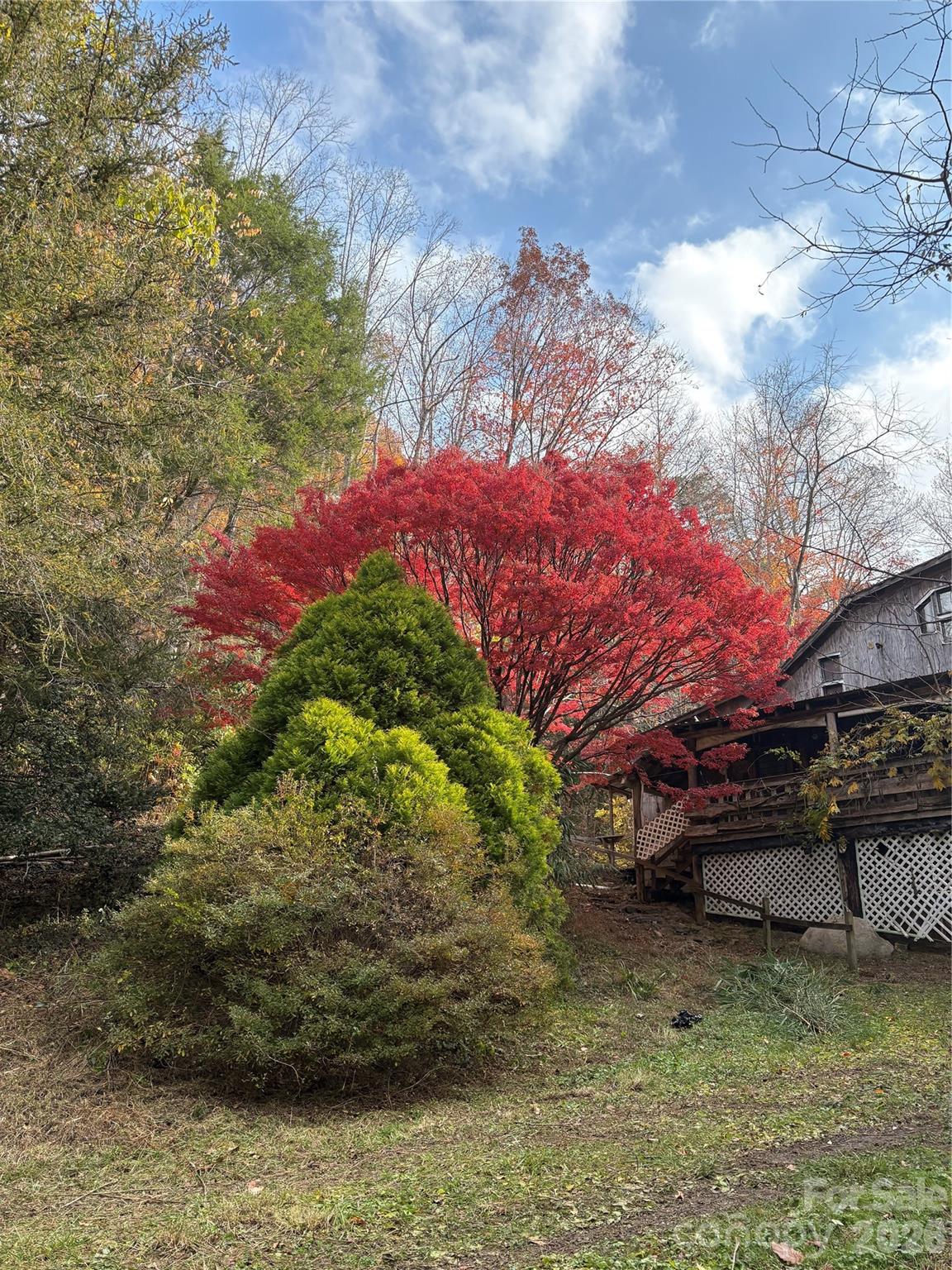 Acreage at 276 Cedar Creek Road, Black Mountain, photo 17 of 27