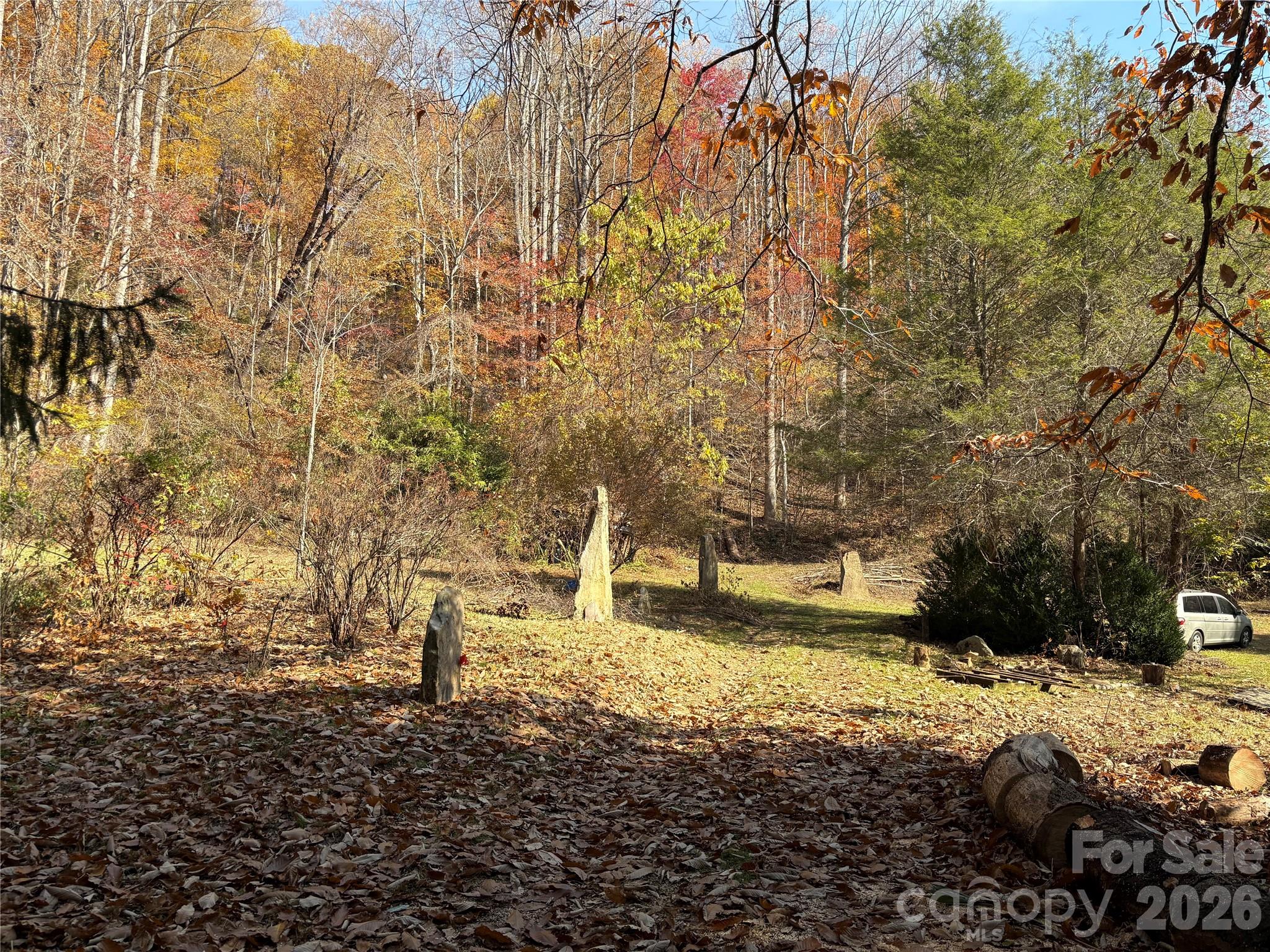 Acreage at 276 Cedar Creek Road, Black Mountain, photo 23 of 27