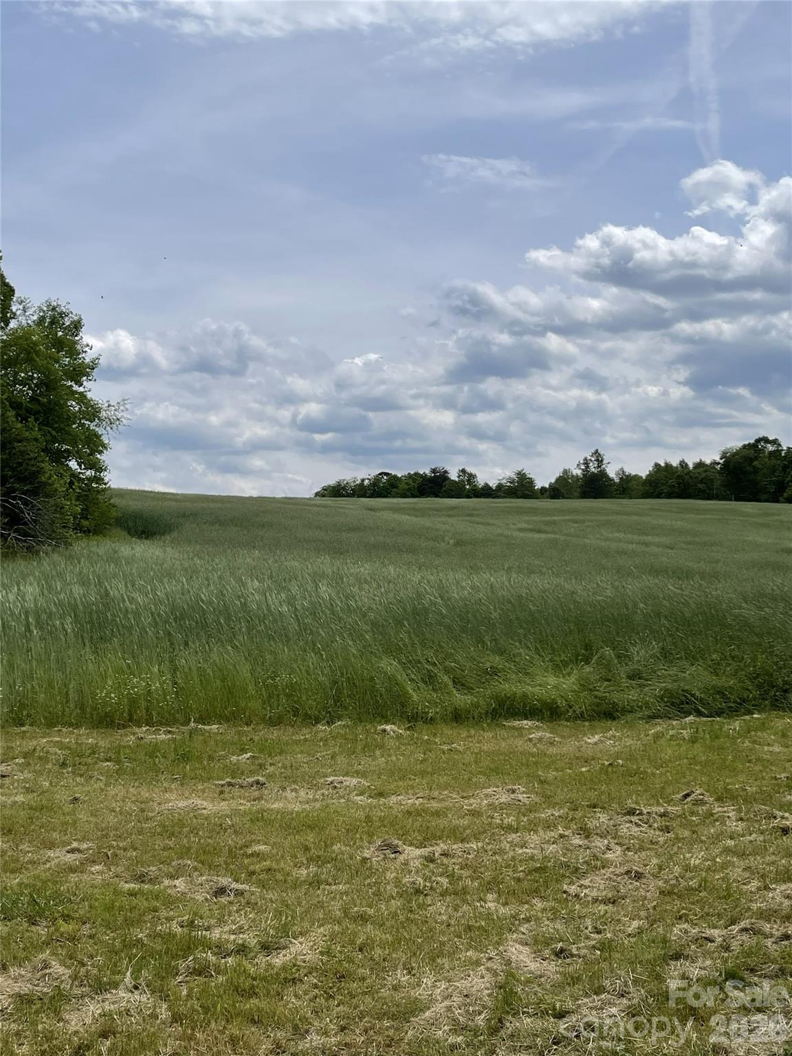 Acreage at 1444 Derby Drive, Shelby, photo 4 of 6