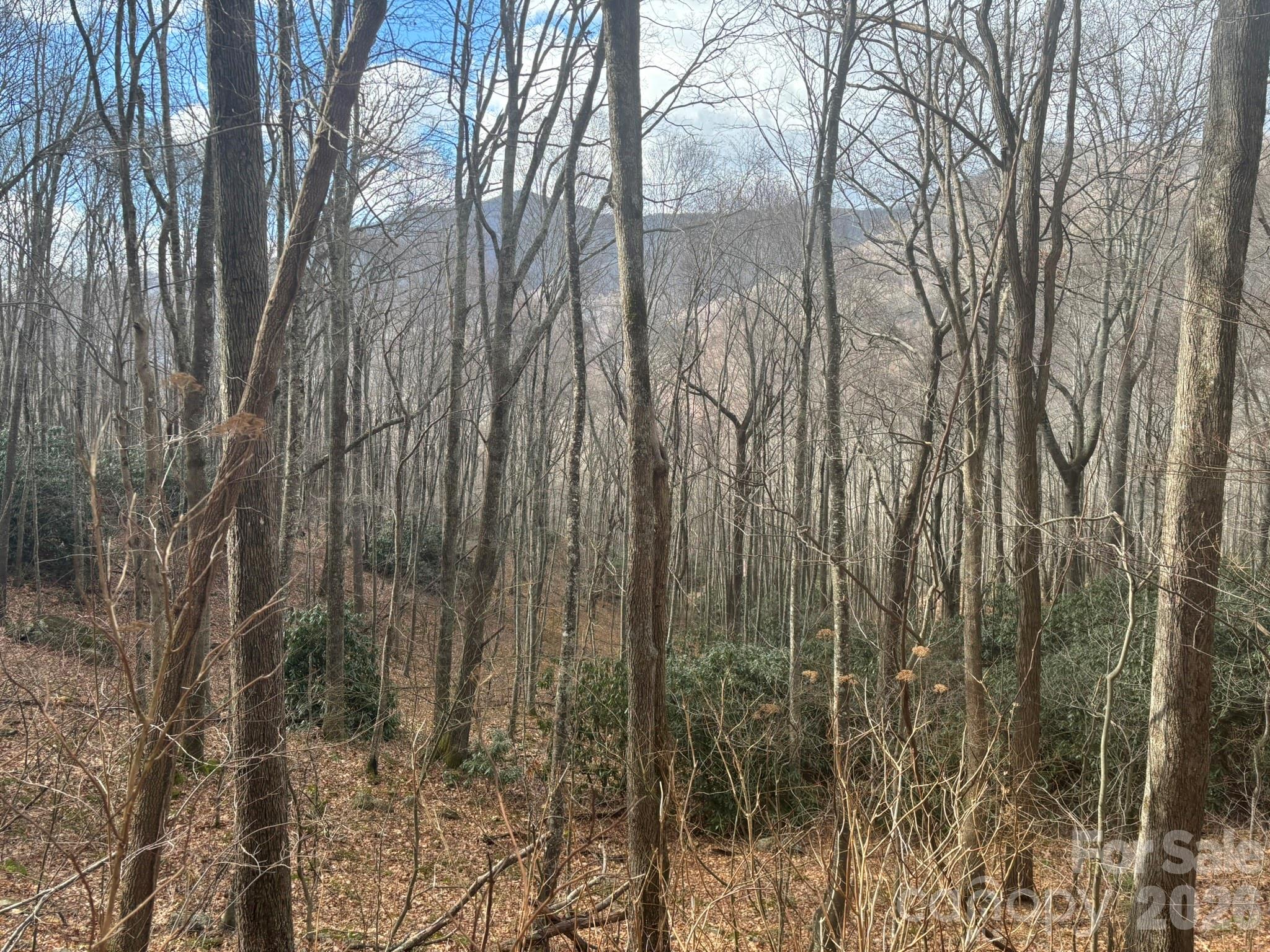Peaceful setting - 68 Grouse Road, Clyde