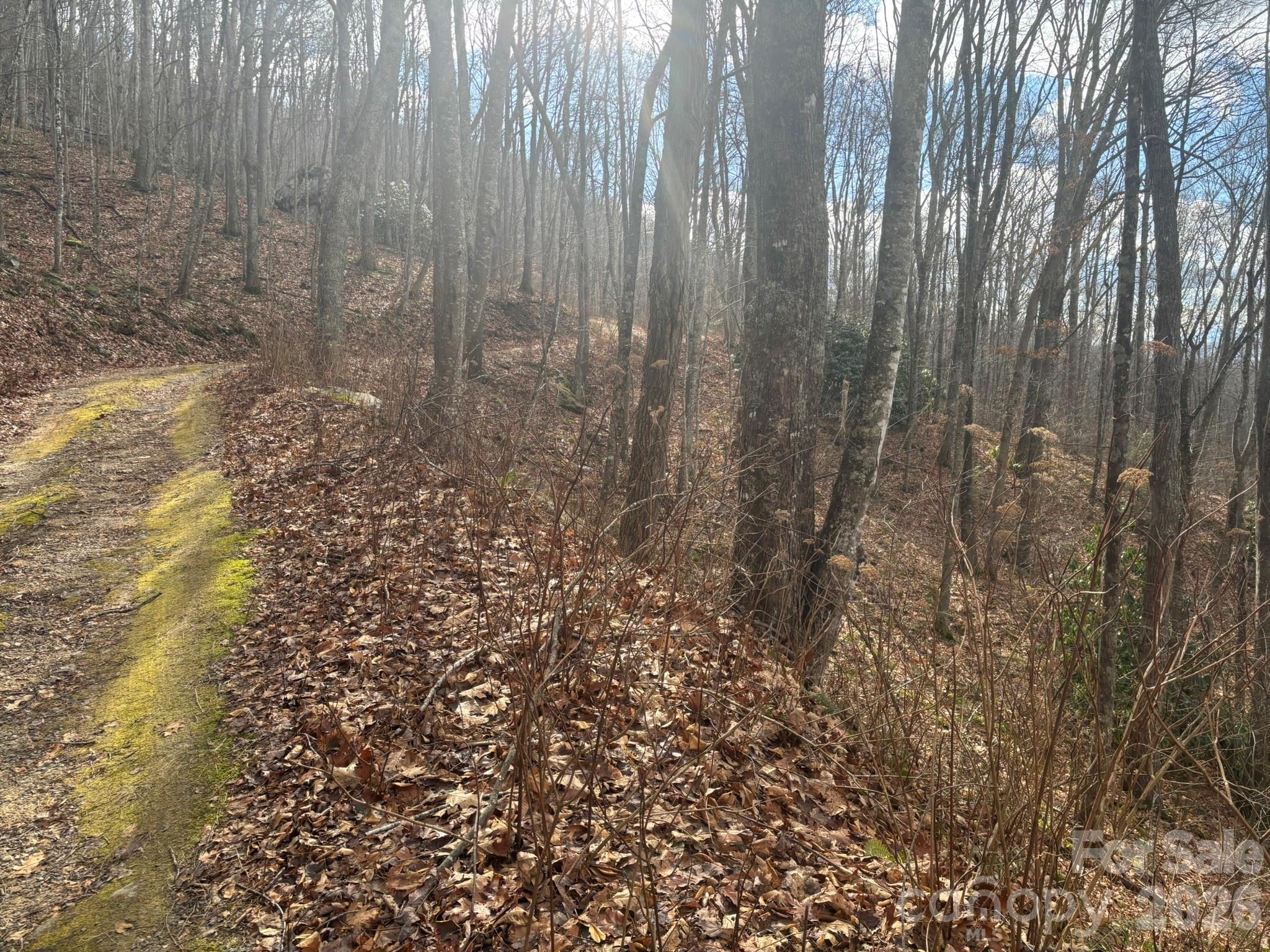 Moderately sloping. - 68 Grouse Road, Clyde