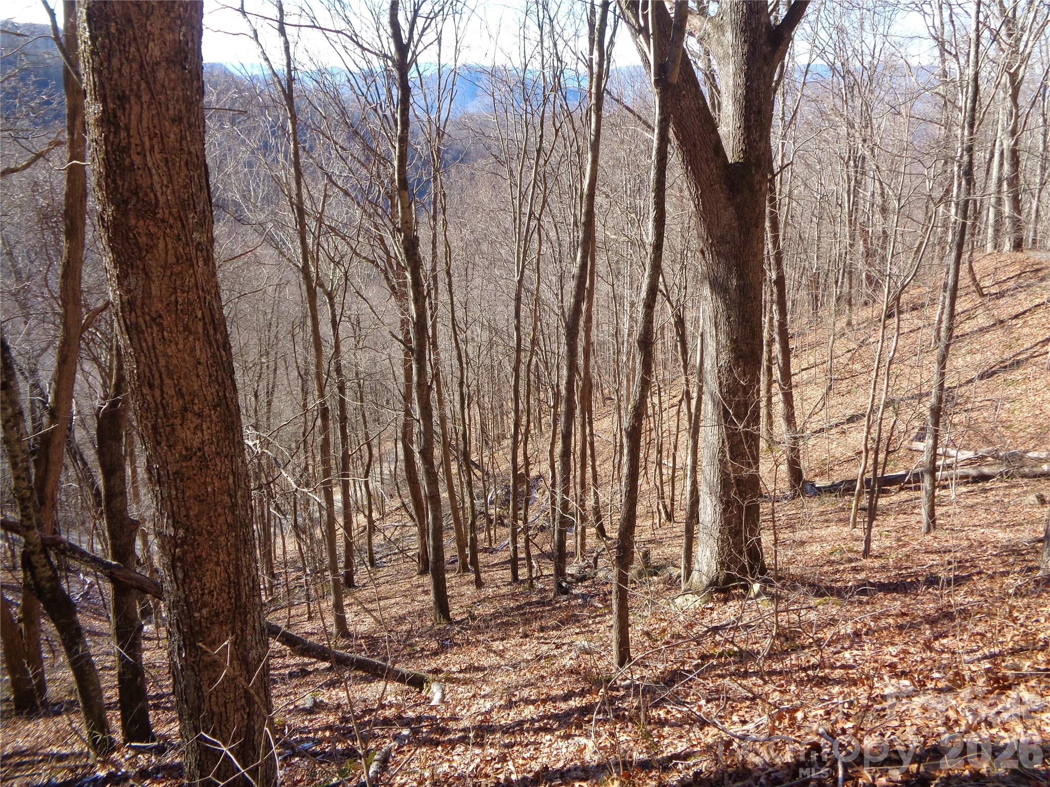 Lot at 00 Listening Cove, Clyde, photo 2 of 12