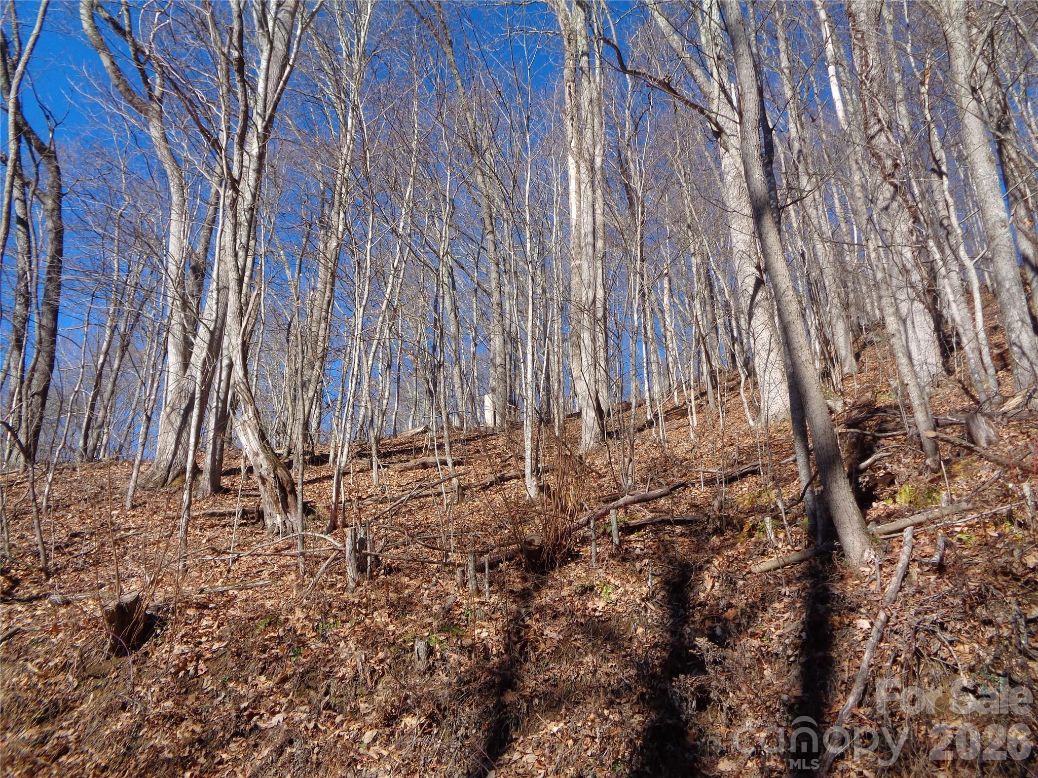 Lot at 00 Listening Cove, Clyde, photo 9 of 12