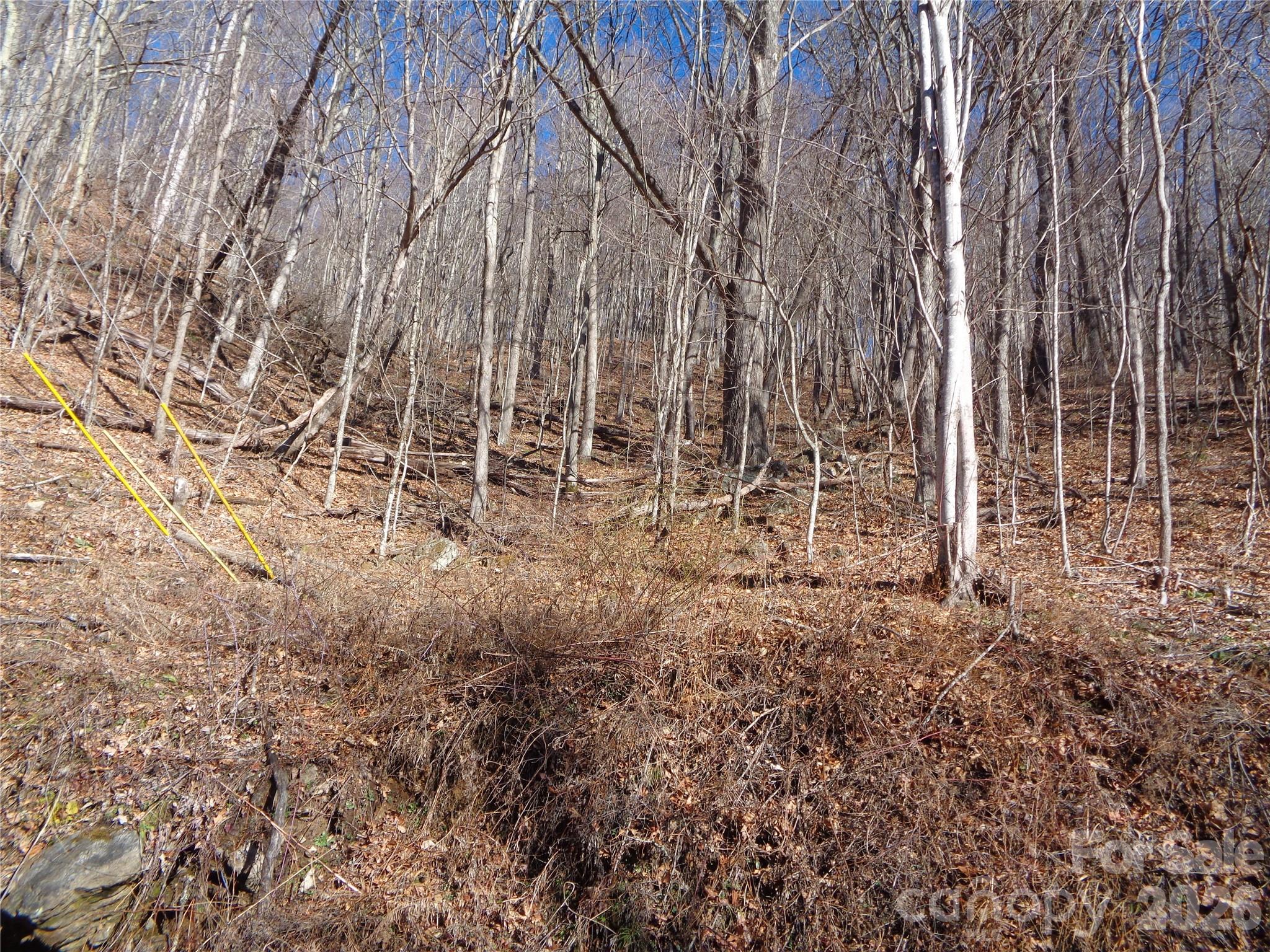 Lot at 00 Listening Cove, Clyde, photo 10 of 12