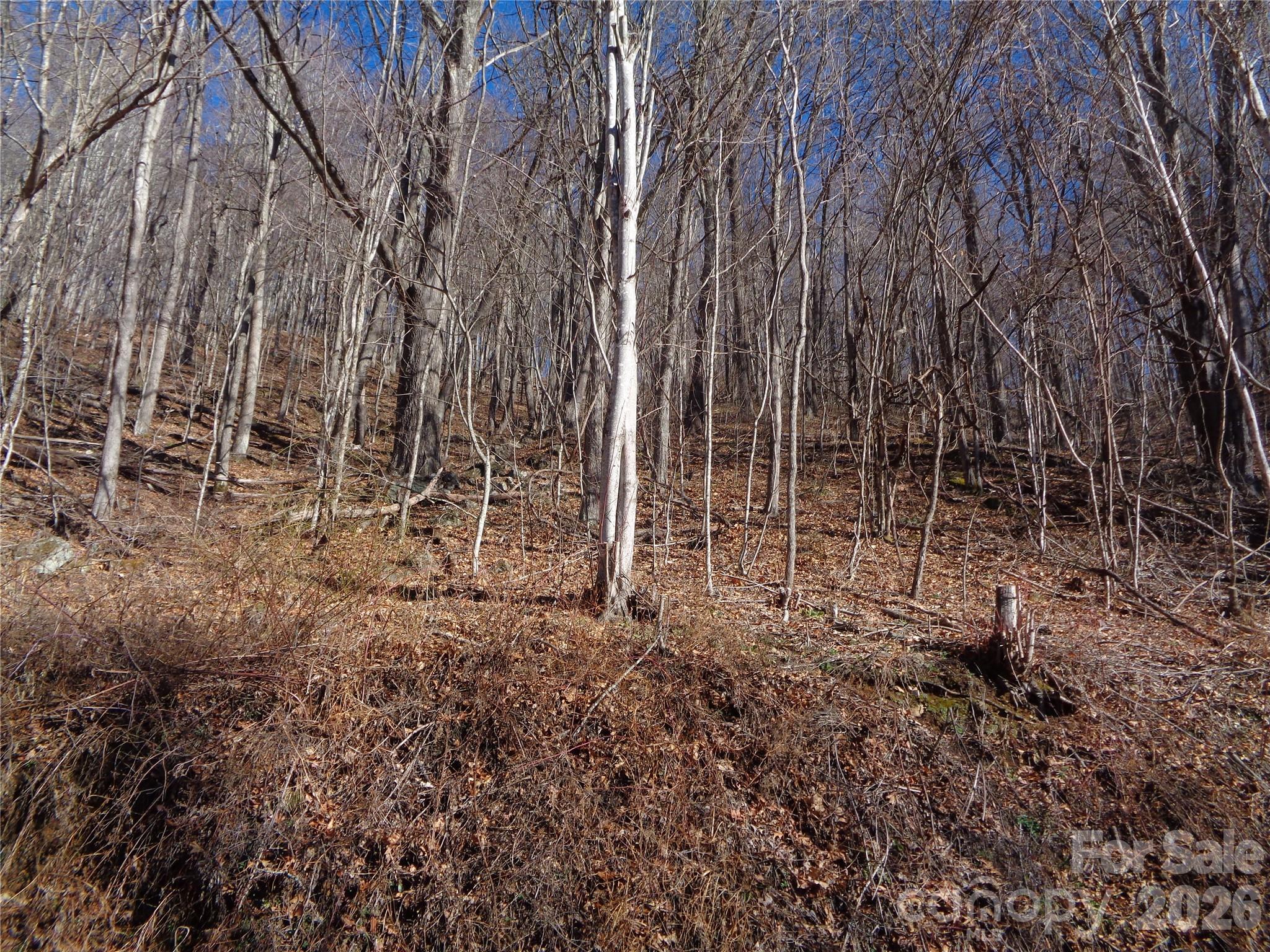 Lot at 00 Listening Cove, Clyde, photo 11 of 12