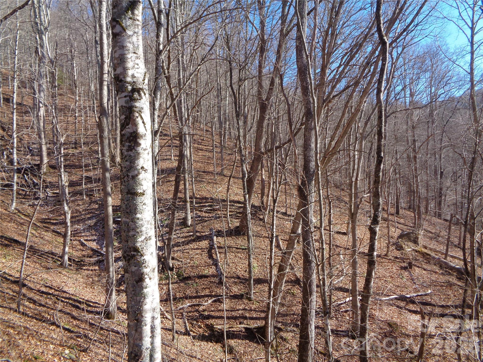 Lot at 000 Listening Cove, Clyde, photo 3 of 14