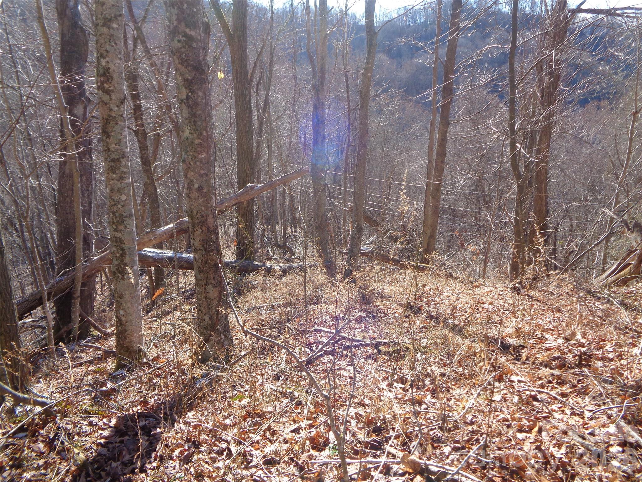 Lot at 000 Listening Cove, Clyde, photo 11 of 14