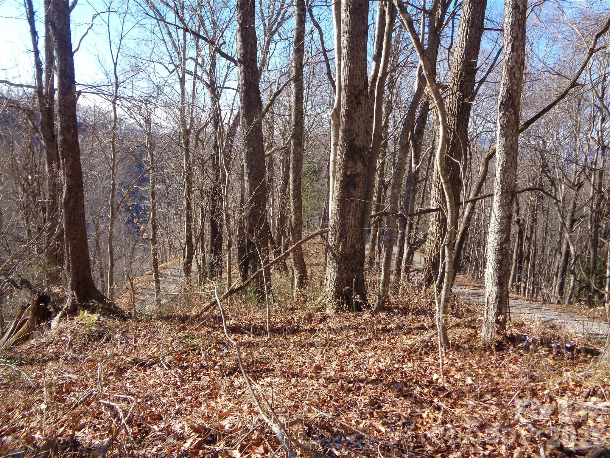 Lot at 000 Listening Cove, Clyde, photo 12 of 14