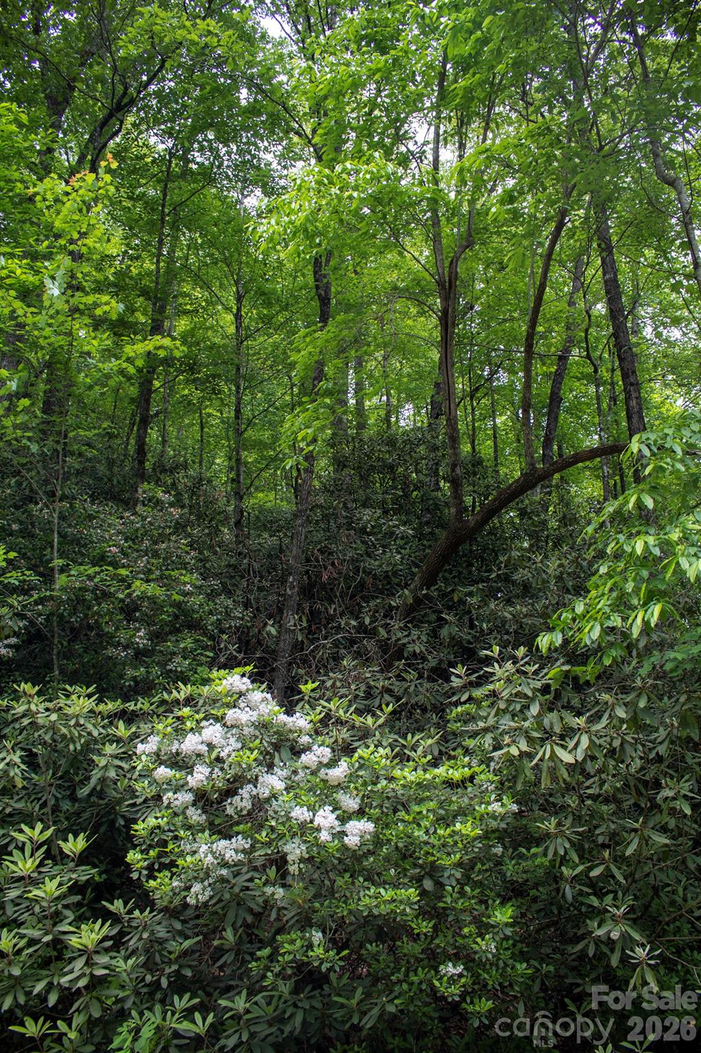 Lot at TBD Fox Den Road, Brevard