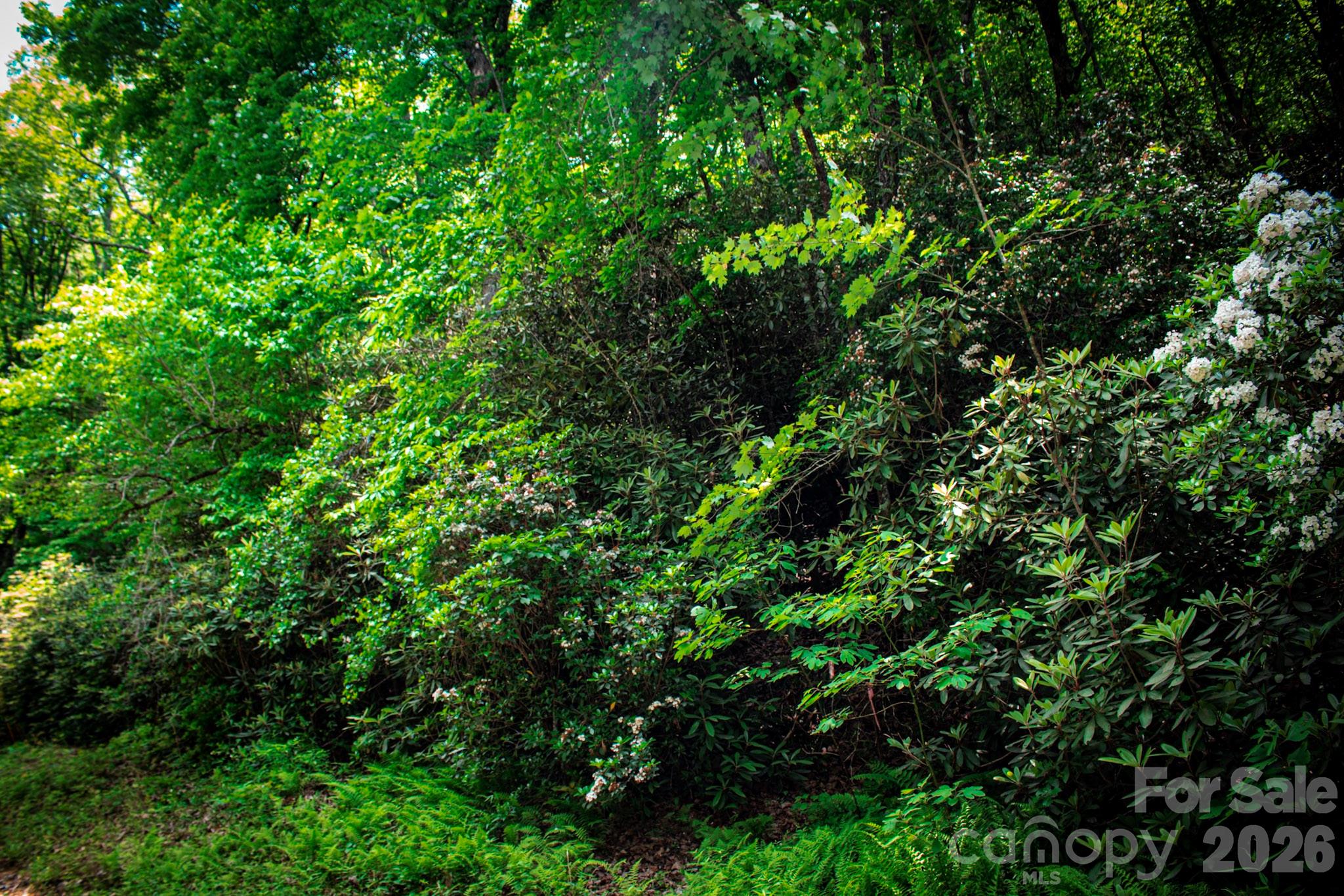 Lot at TBD Fox Den Road, Brevard, photo 4 of 4