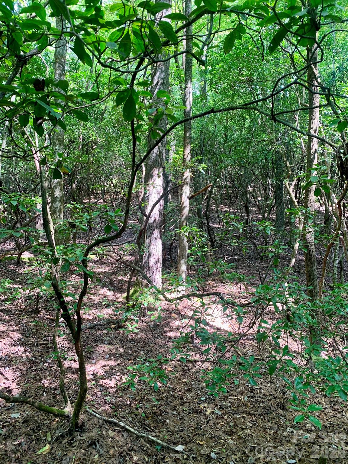 6 Double Creek Road