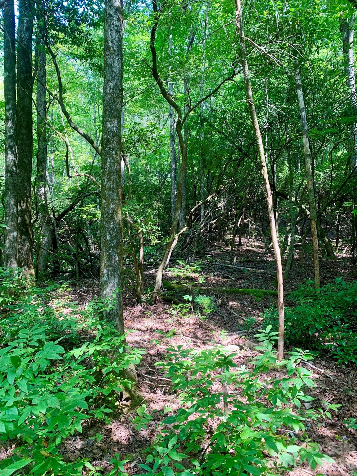 Lot at 6 Double Creek Road, Brevard, photo 2 of 4