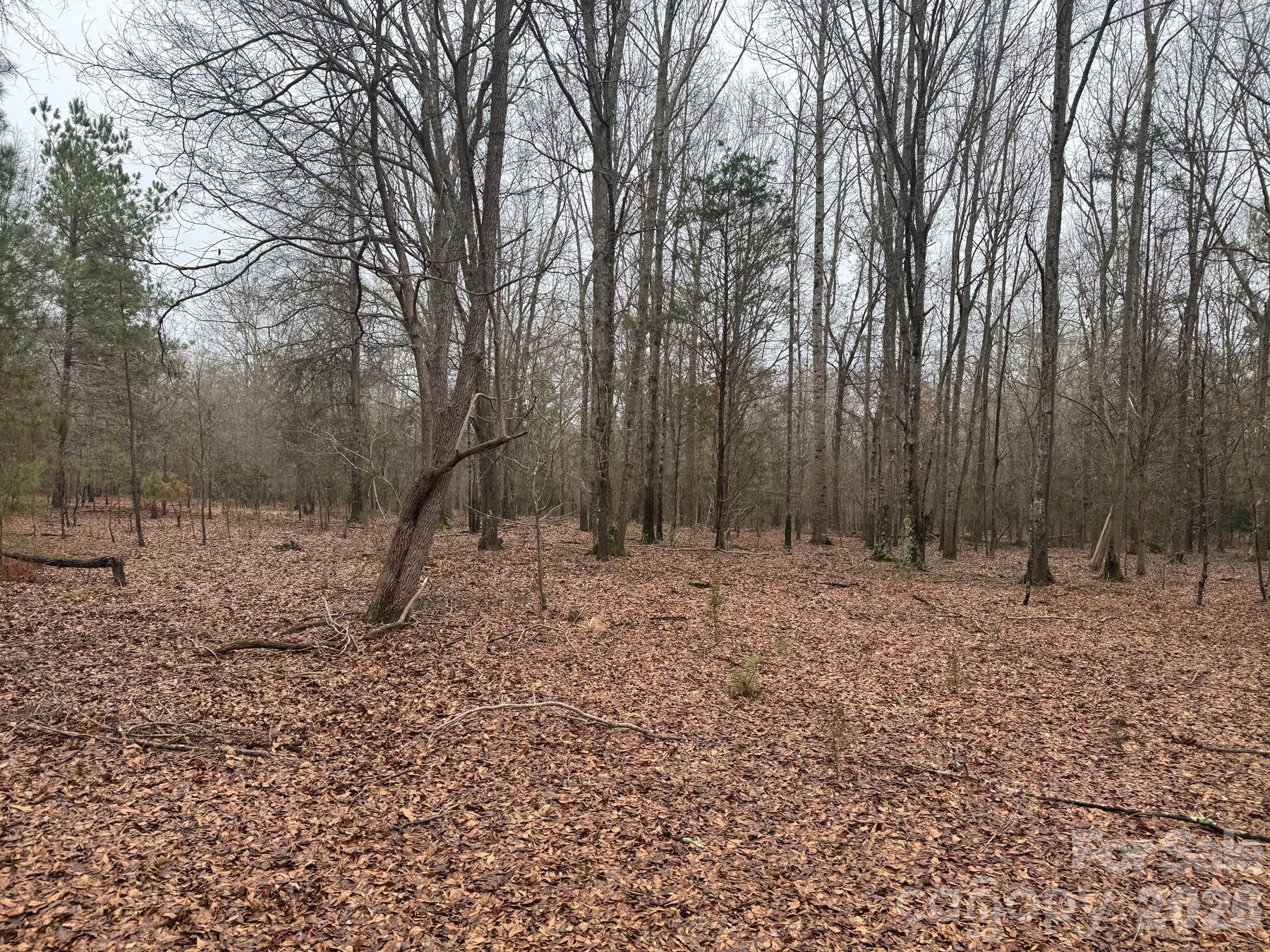 Example of Home site. - 4252-1 Reid Road, Rock Hill
